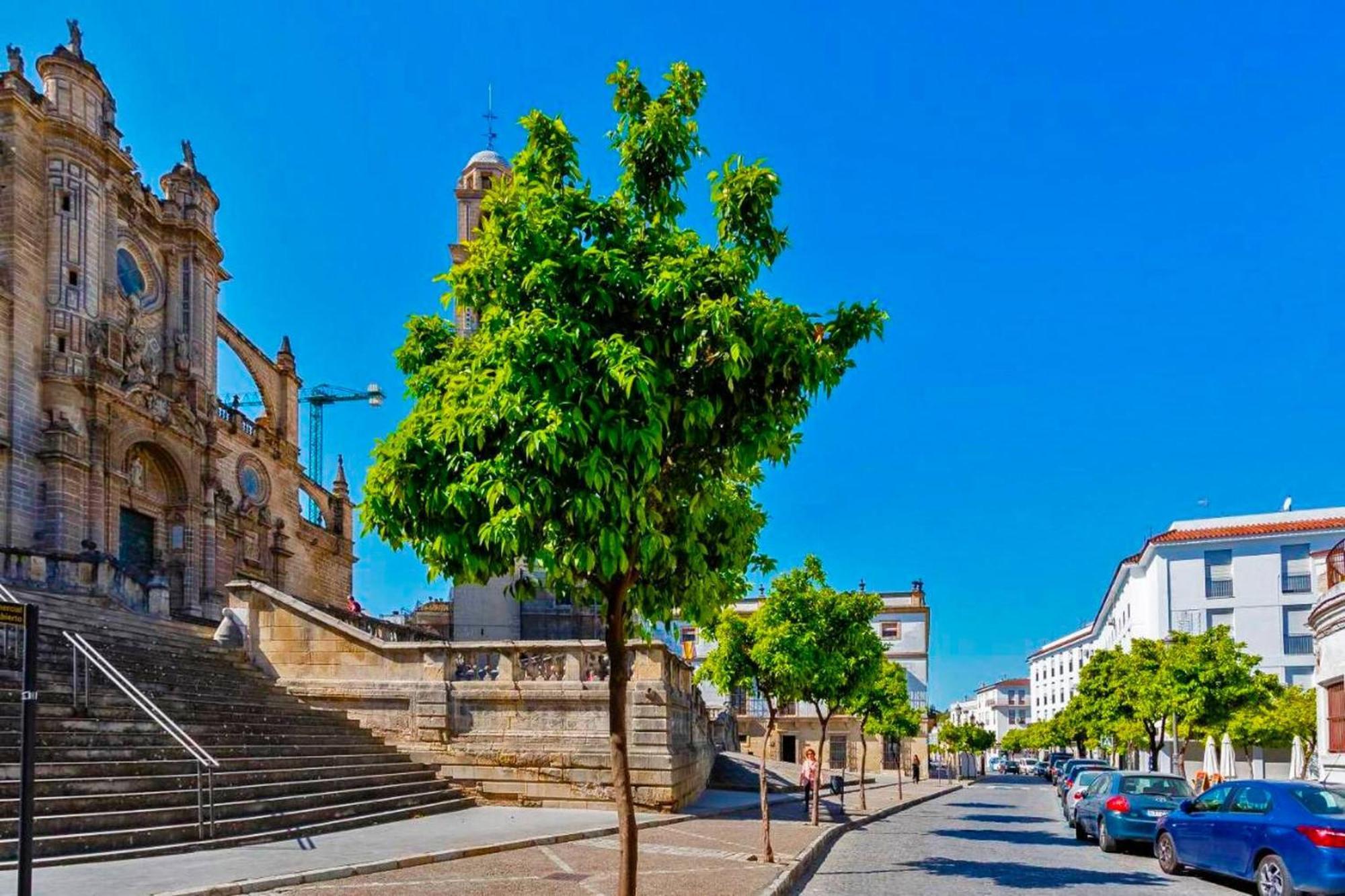 La Torre De La Catedral - Ole Solutions Apartment