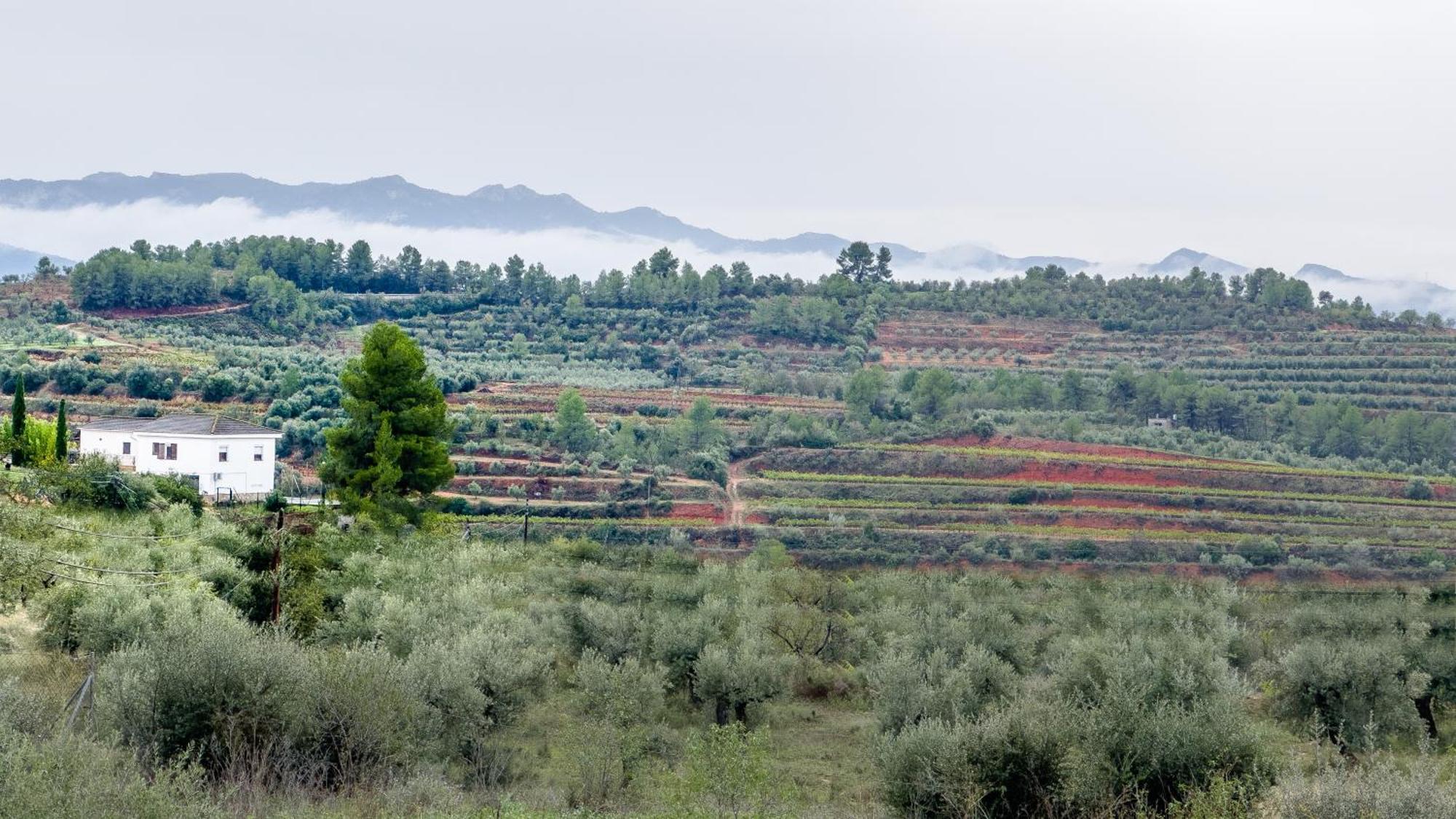 Camins Del Priorat Ermita Sant Pau Apartamento