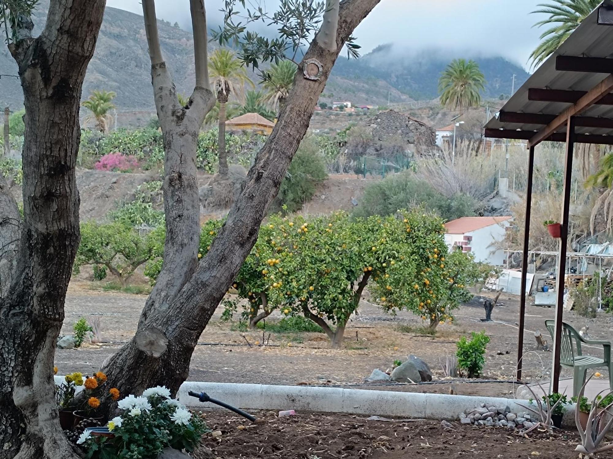 La Casa De La Pradera Farm stay Santa Lucia De Tirajana