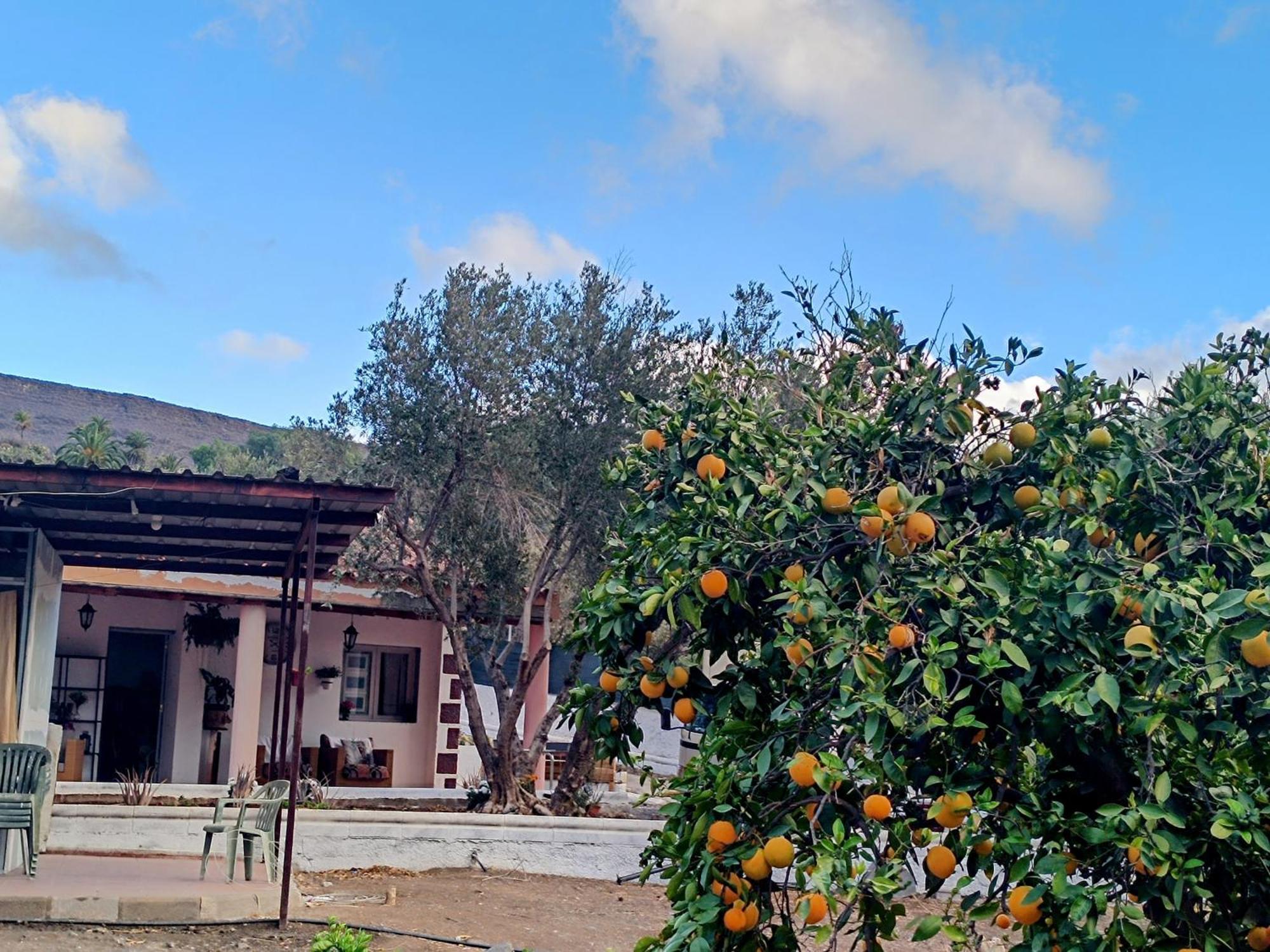 La Casa De La Pradera Santa Lucia De Tirajana