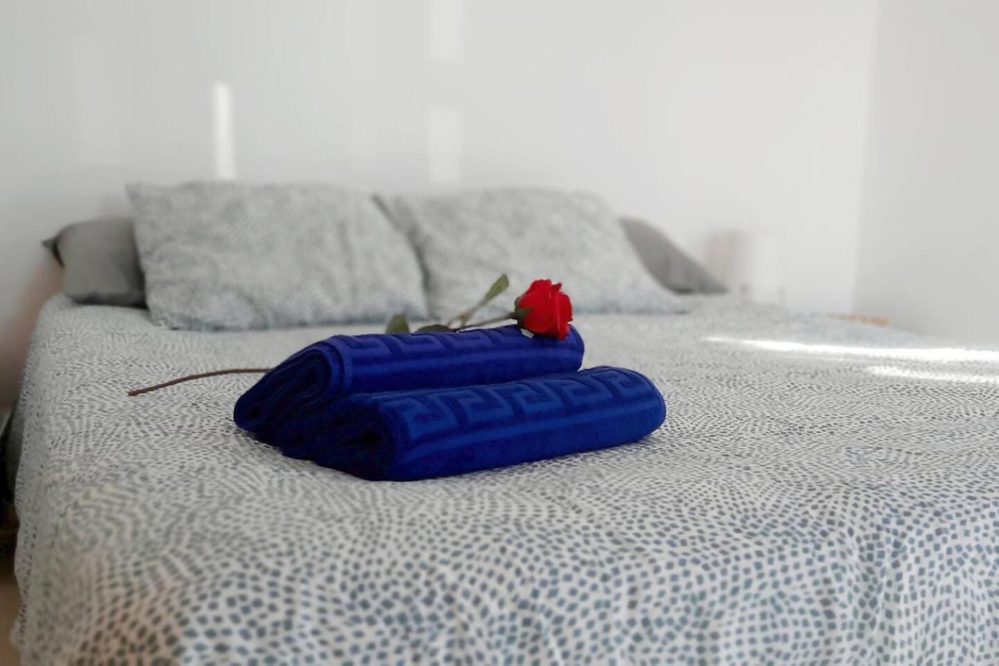 Wifi Surf Fast Wifi Apartamento