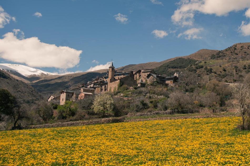 Casa Duc *