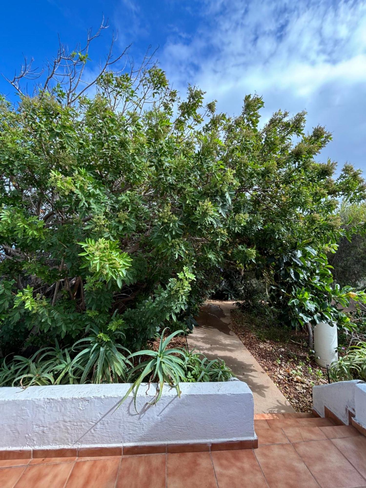 Apartamento Marina La Caleta (El Hierro)