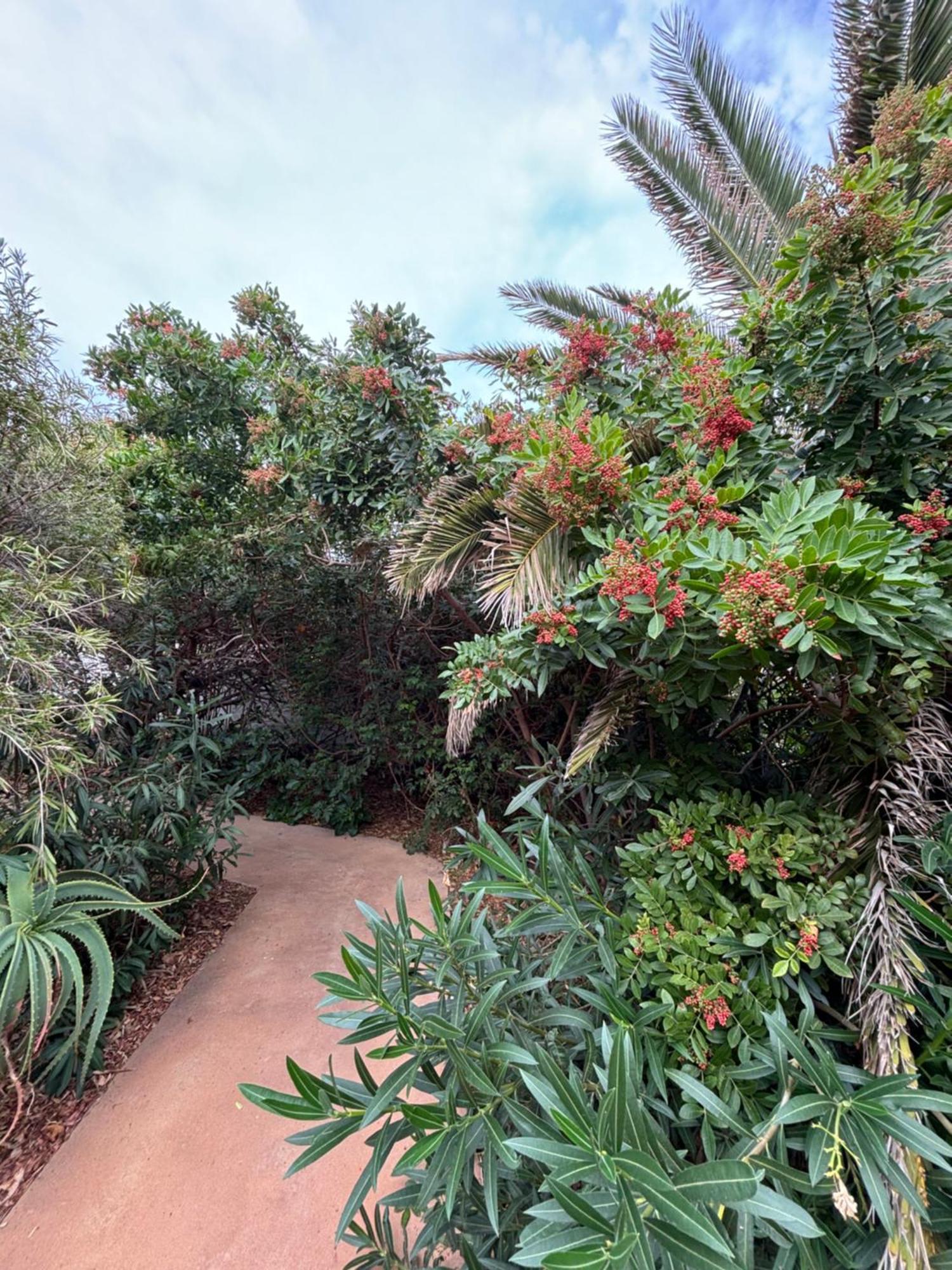 Apartamento Marina La Caleta (El Hierro)