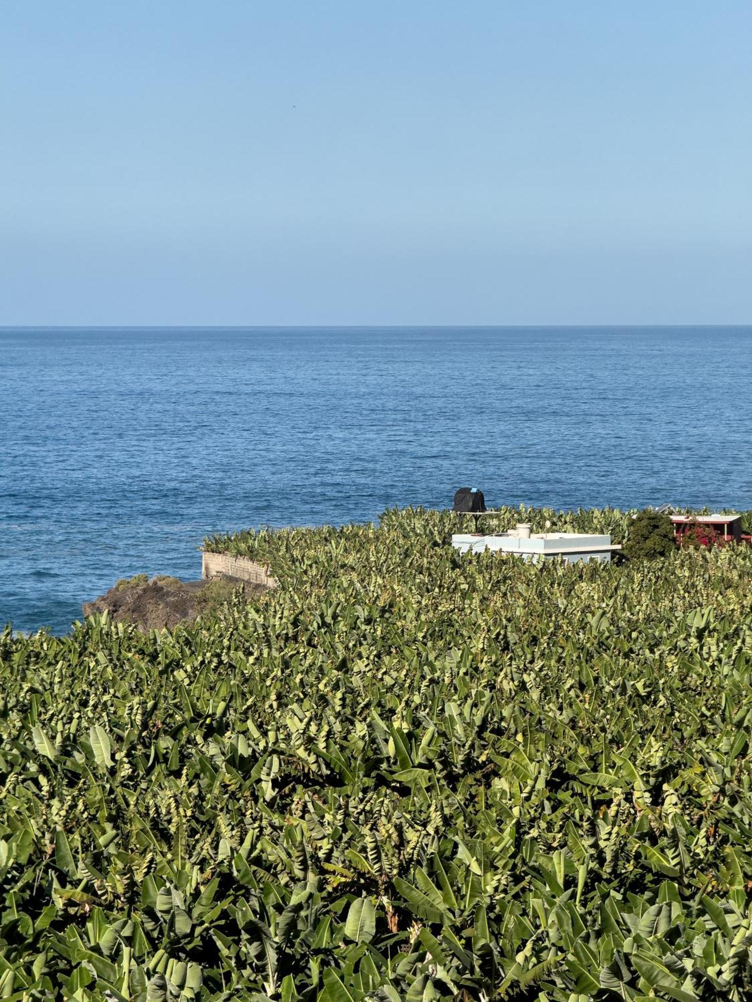 Сasa de vacaciones Casa El Banco By Rural La Palma