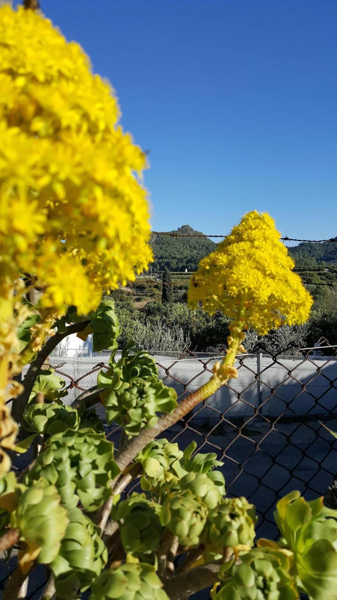 Craig, Spacious With Amazing Garden And Private Heated Pool * Ròtova
