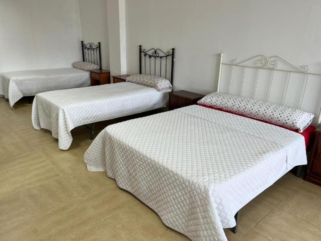 Apartment Nuria Cadiz