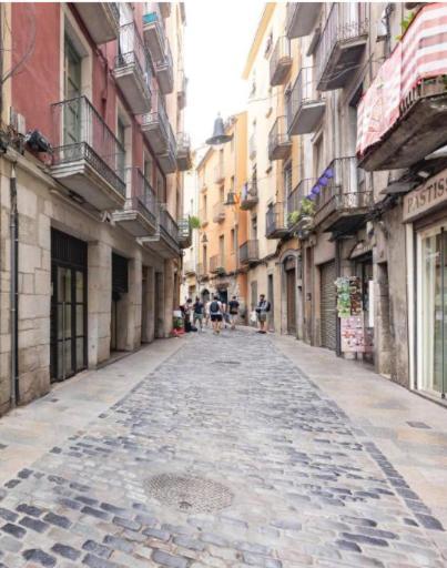 Apartamento Con Mucho Encanto En El Barri Vell , Old Town, De Girona, El Cul De La Lleona *