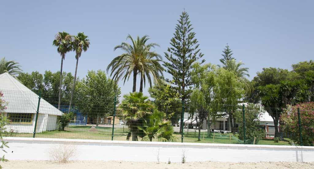 Bungalows-camping La Rana Verde Campsite