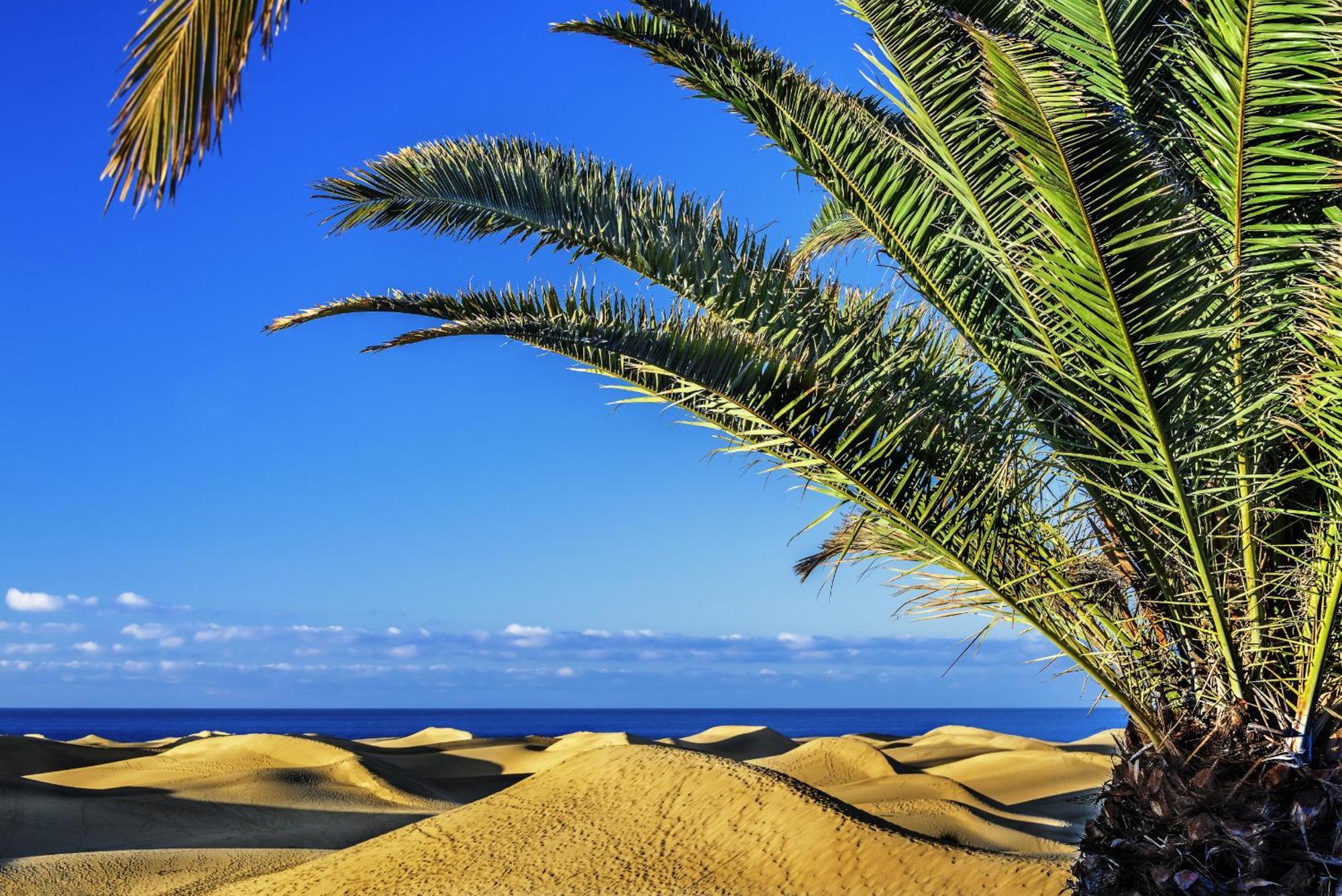 Сasa de vacaciones Confital By Canariasgetaway
