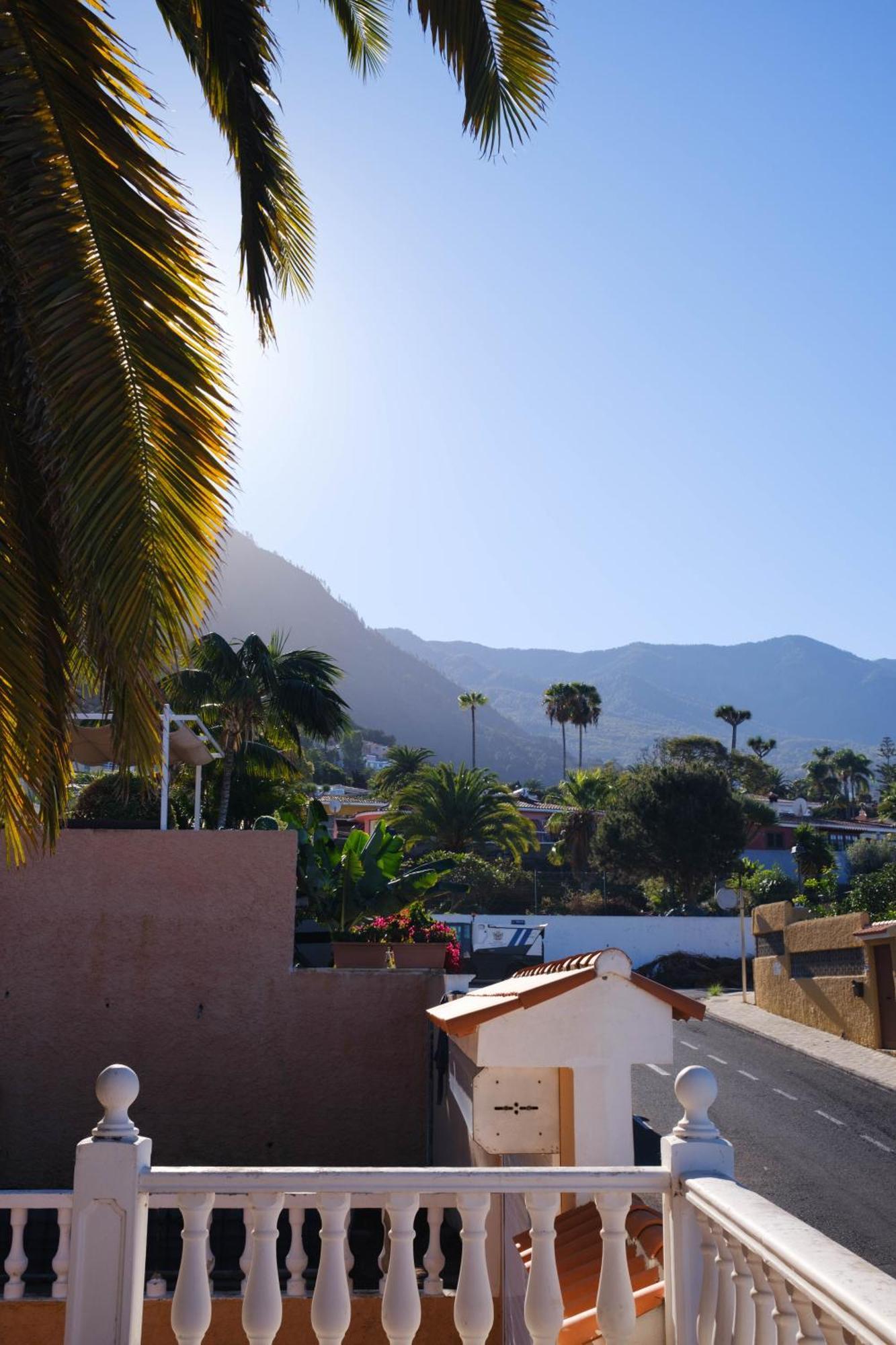 Casa Papaya