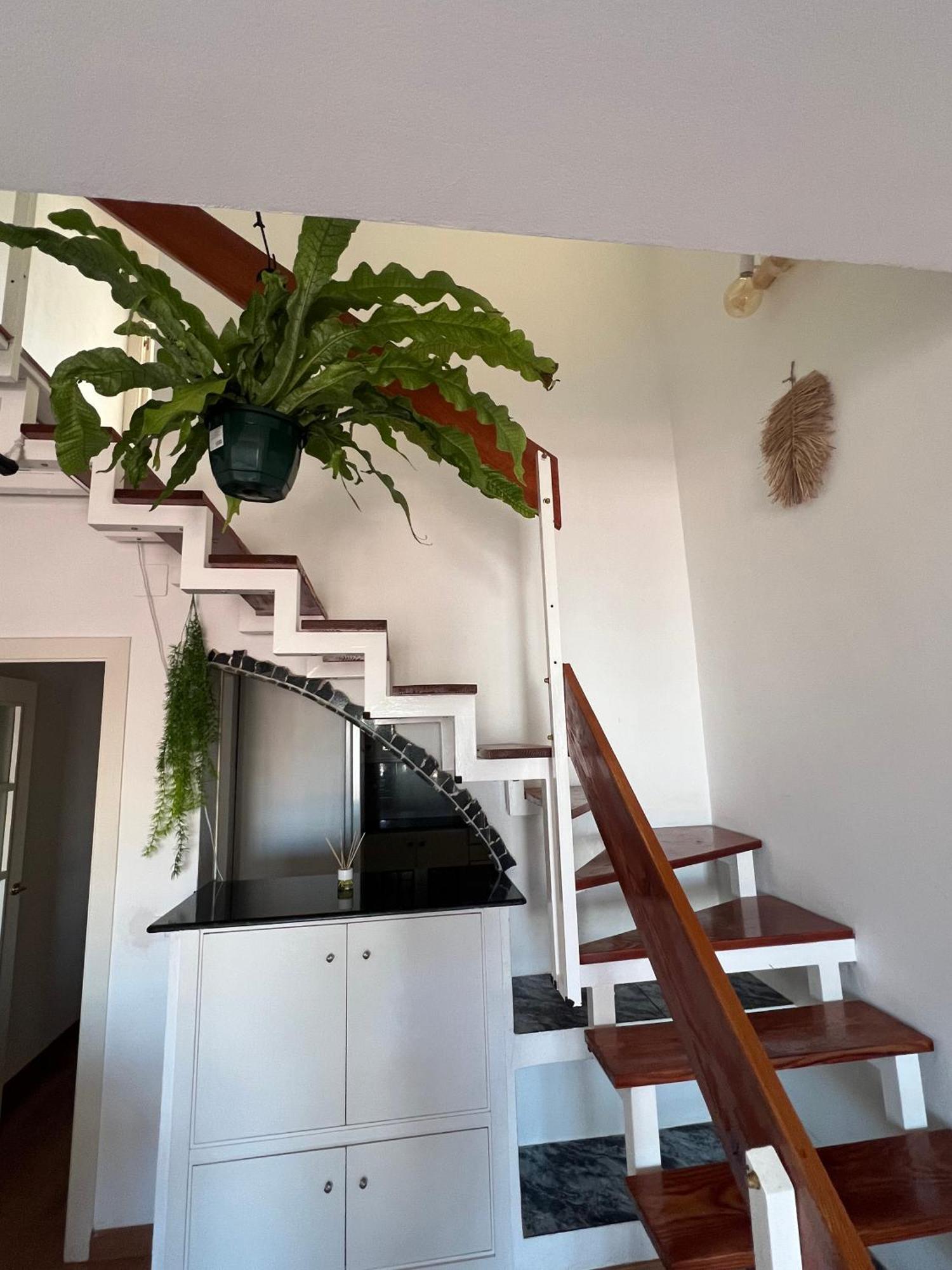 Private Double In A Shared Penthouse With Patios Hostal *
