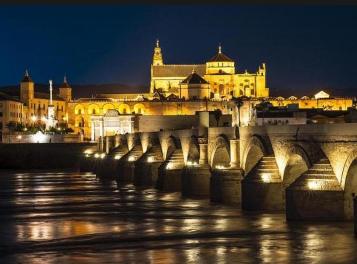 Tinte 8 Cordoba