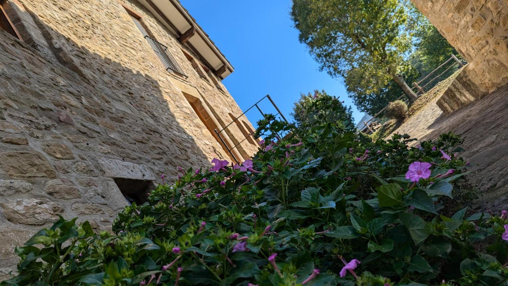 Mas El Carrer Santa Pau