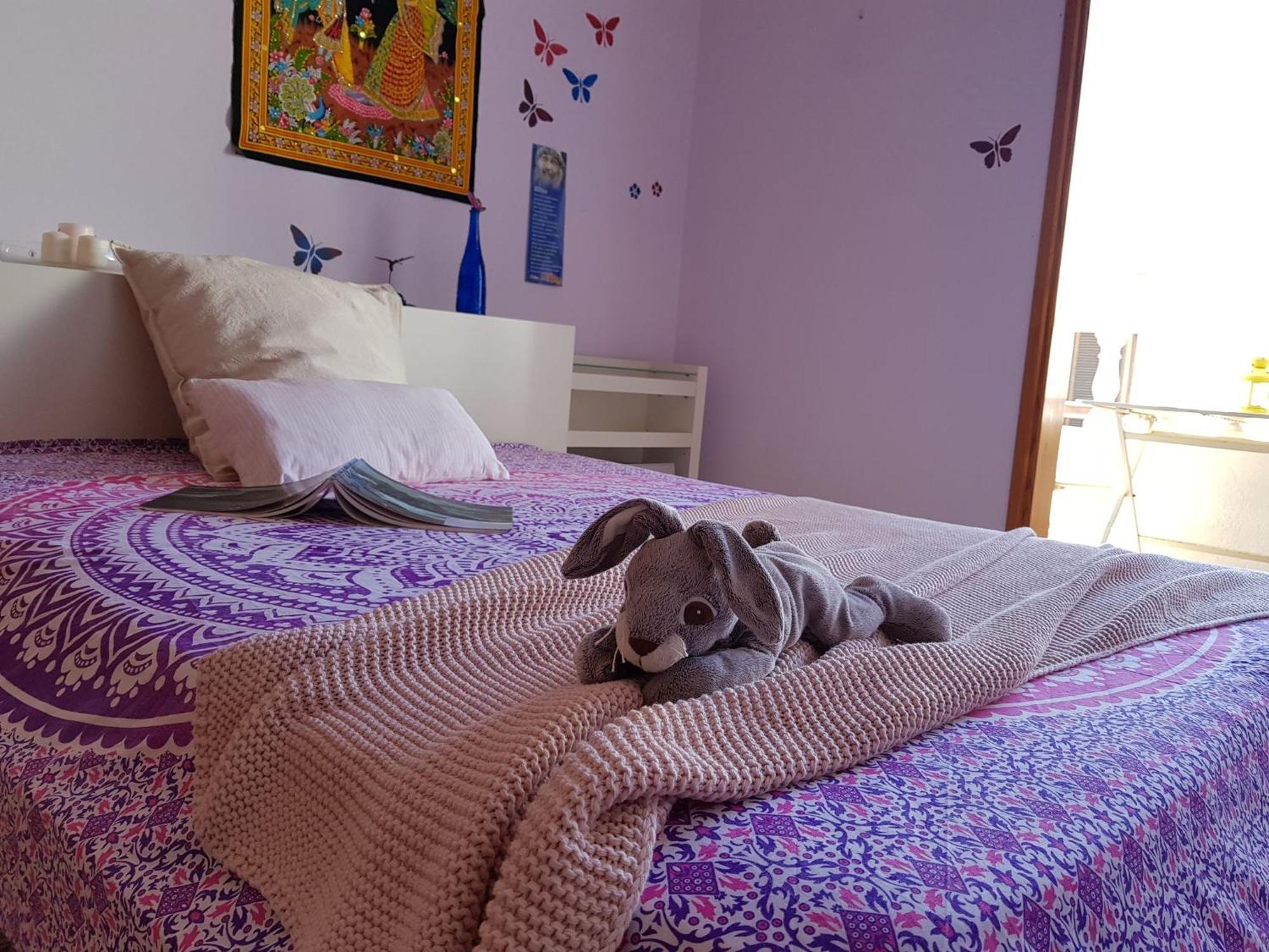 The Magic Dragonfly! Guest house 3*