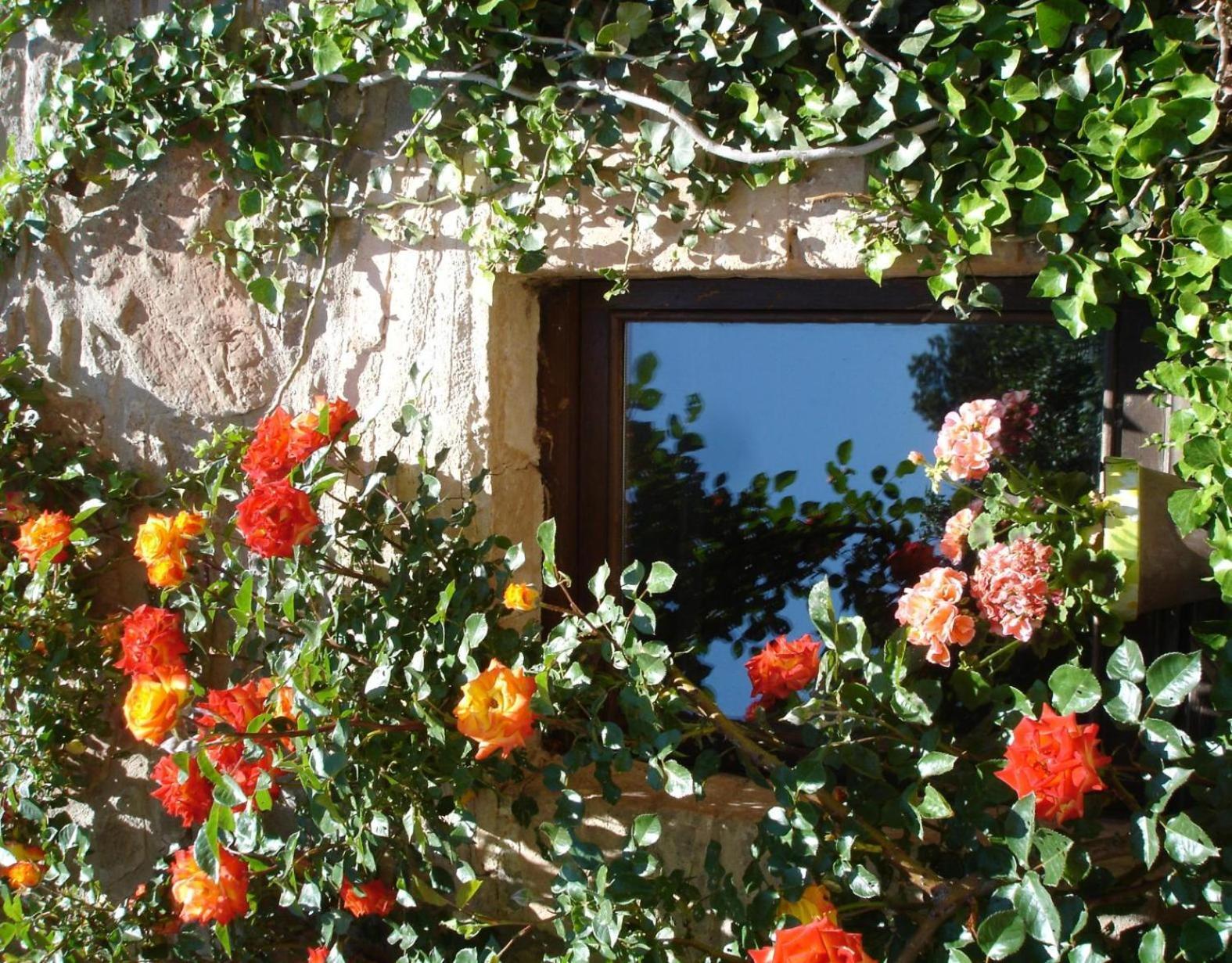Cal Panxeta Holiday home Balsareny