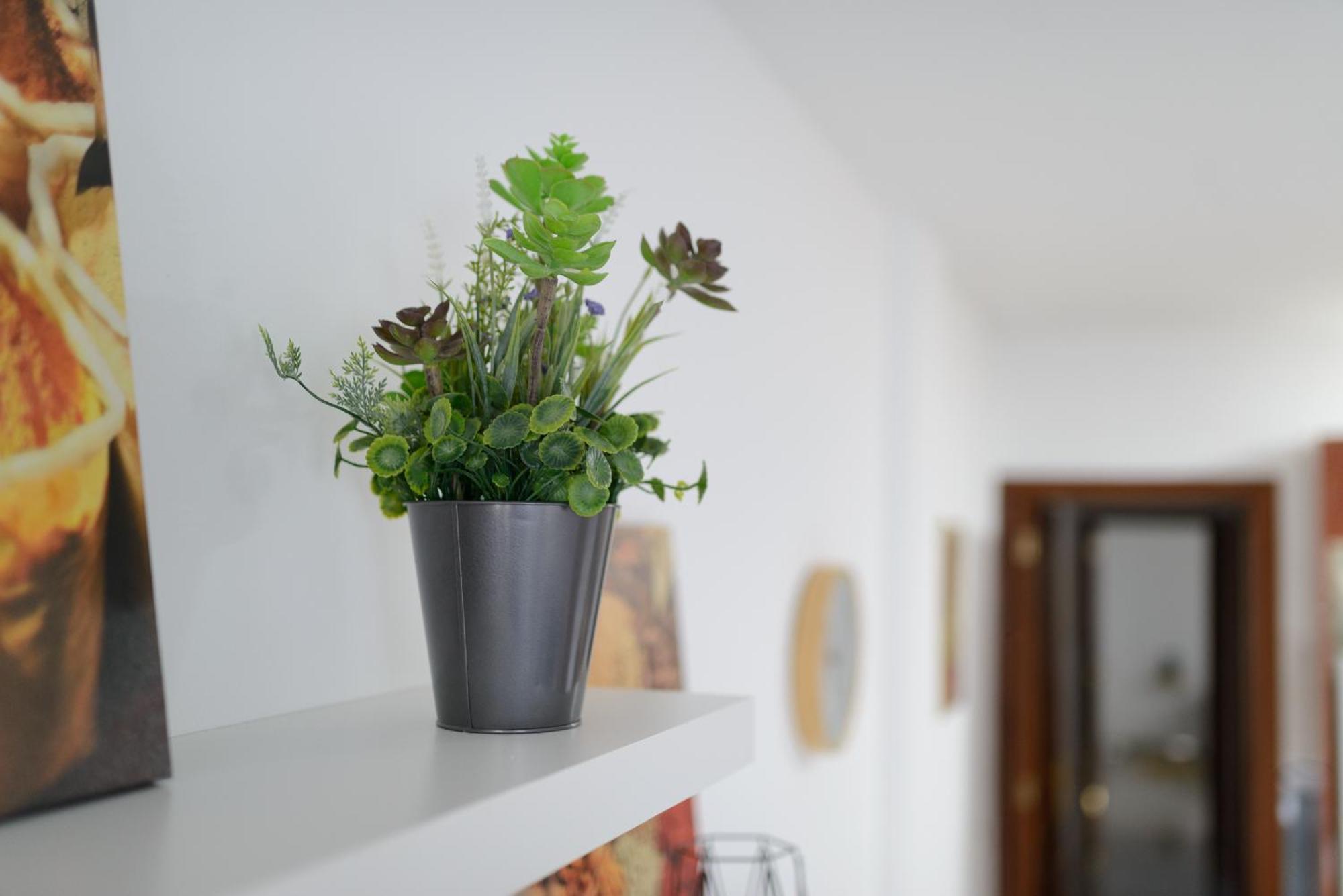 Apartamento Bonito En Ingenio