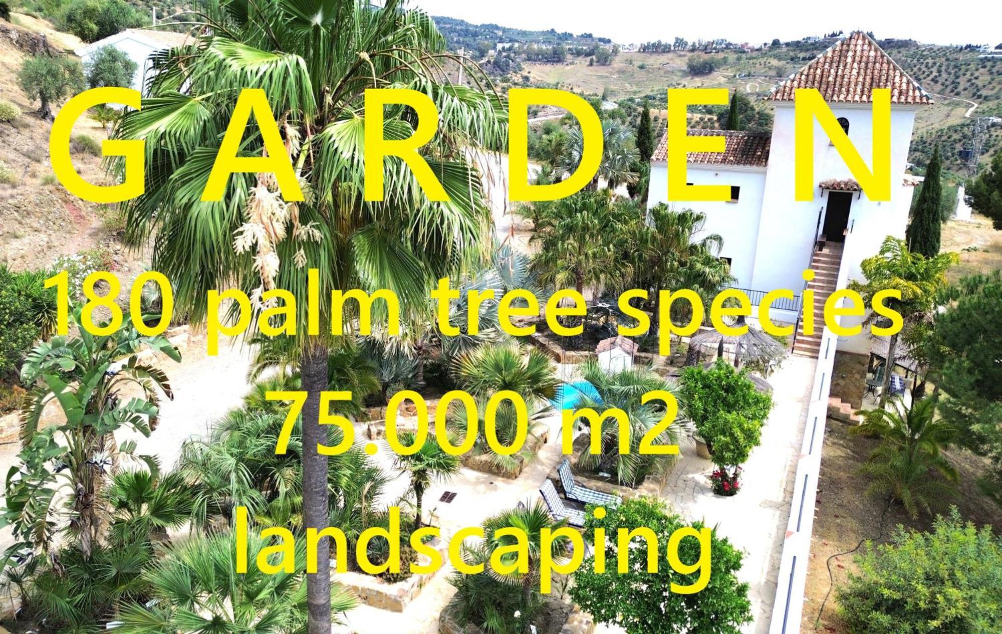 Private Detached With Own Jacuzzi Mi Dushi Chalet *