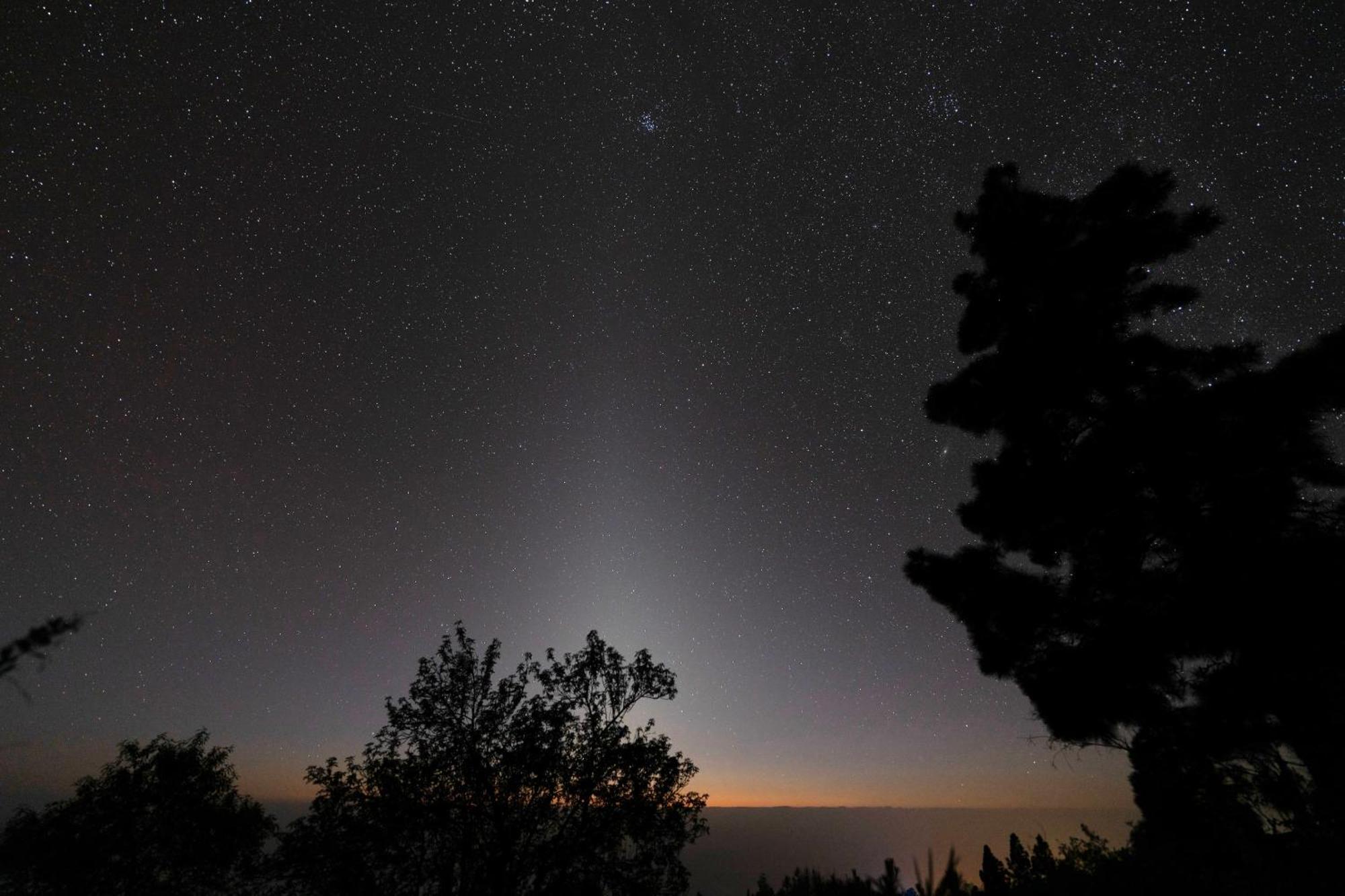 Canopus *