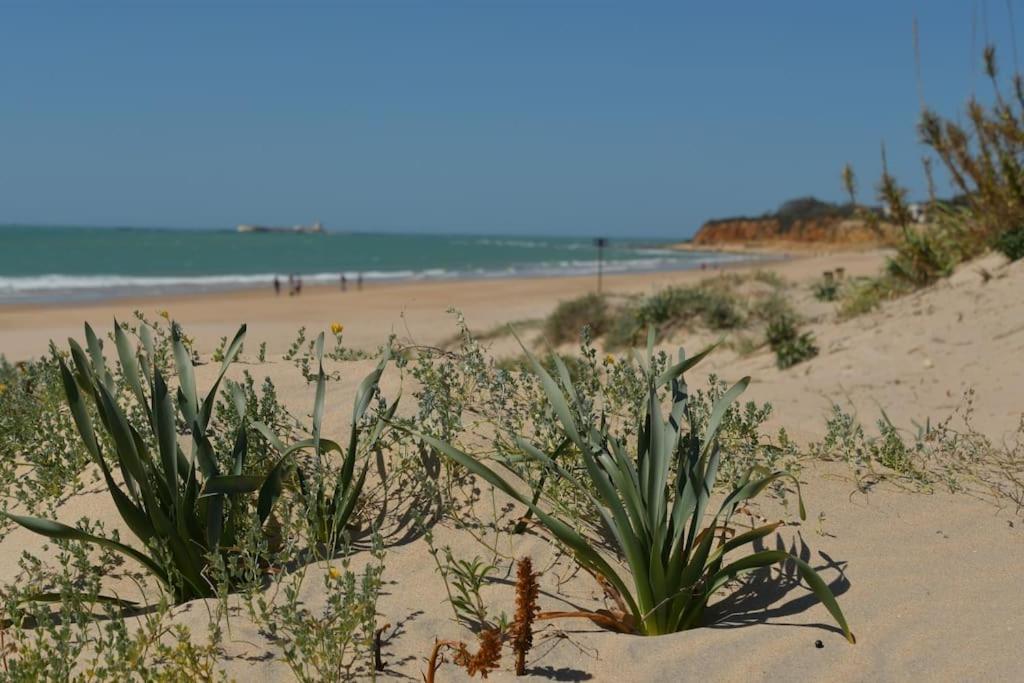 Apartamento En Playa La Barrosa