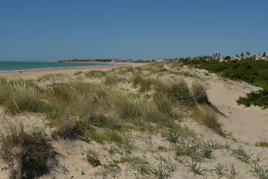 En Playa La Barrosa Apartamento *
