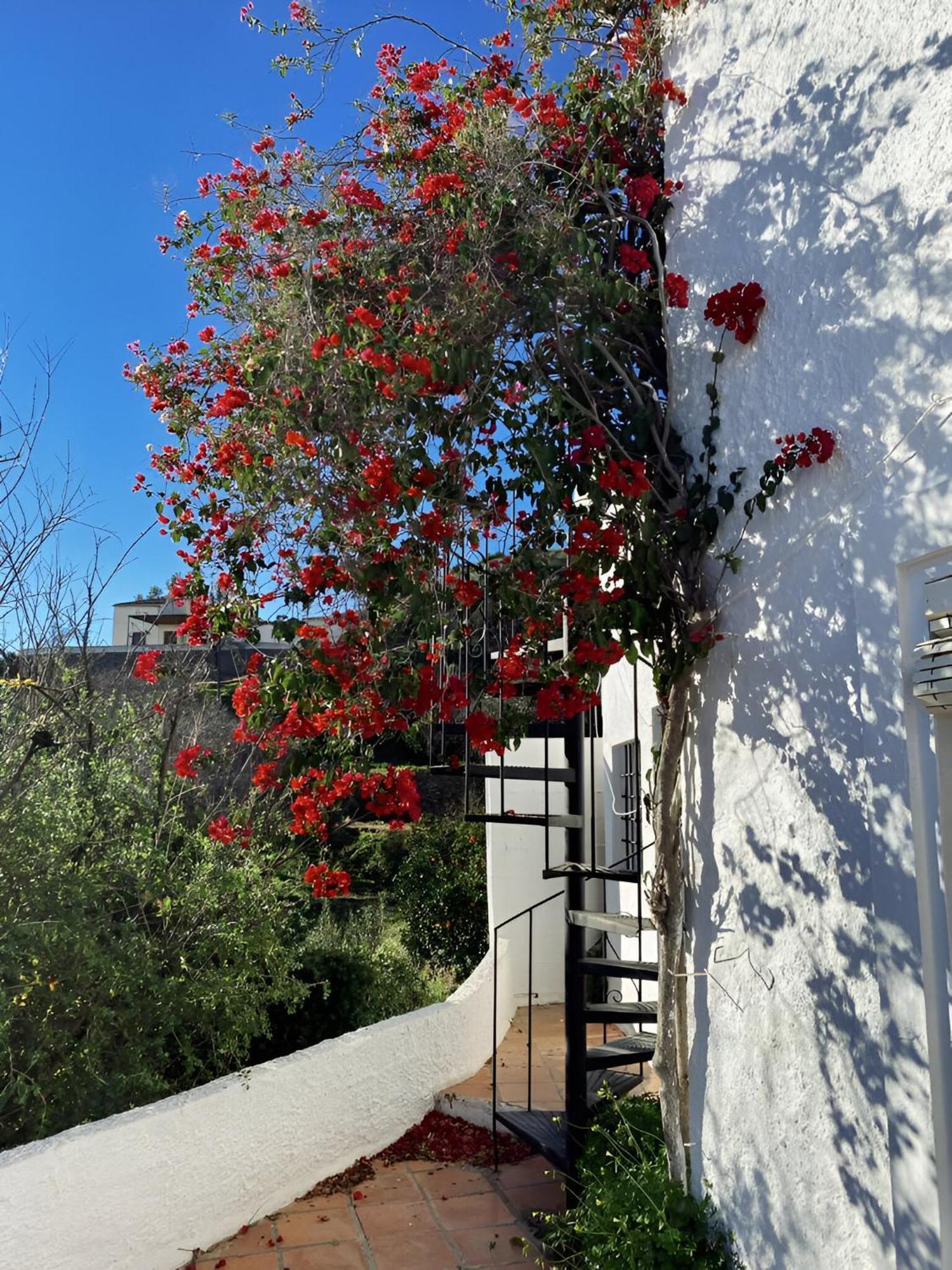 Cortijo De La Fuente Con Vistas Impresionantes Y Playas A 20 Minutos Сasa de vacaciones