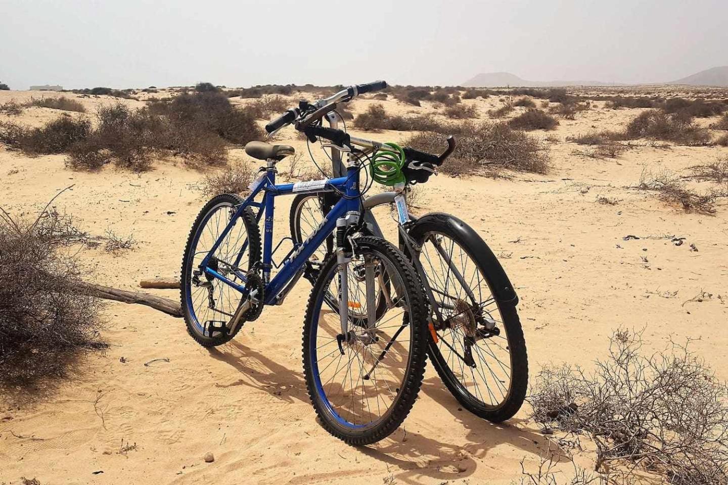 Momis House Dunas Piscinas Bicicletas Vista Parque Natural Apartamento Corralejo