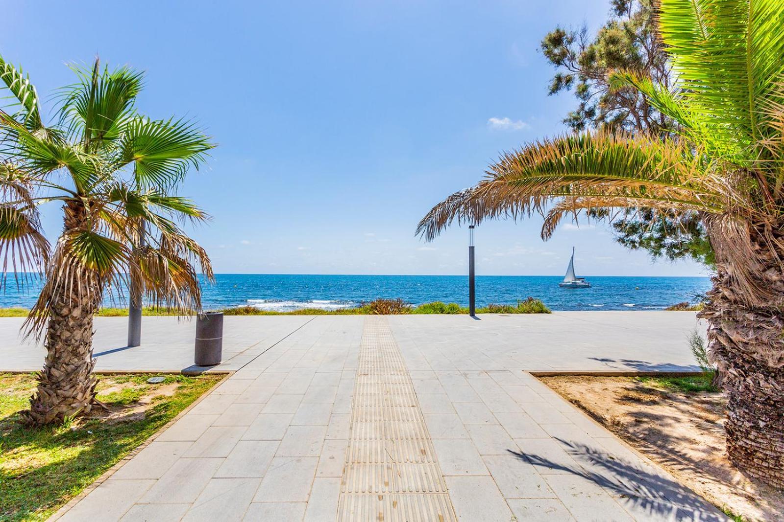 Playa Locos With Garage Apartment
