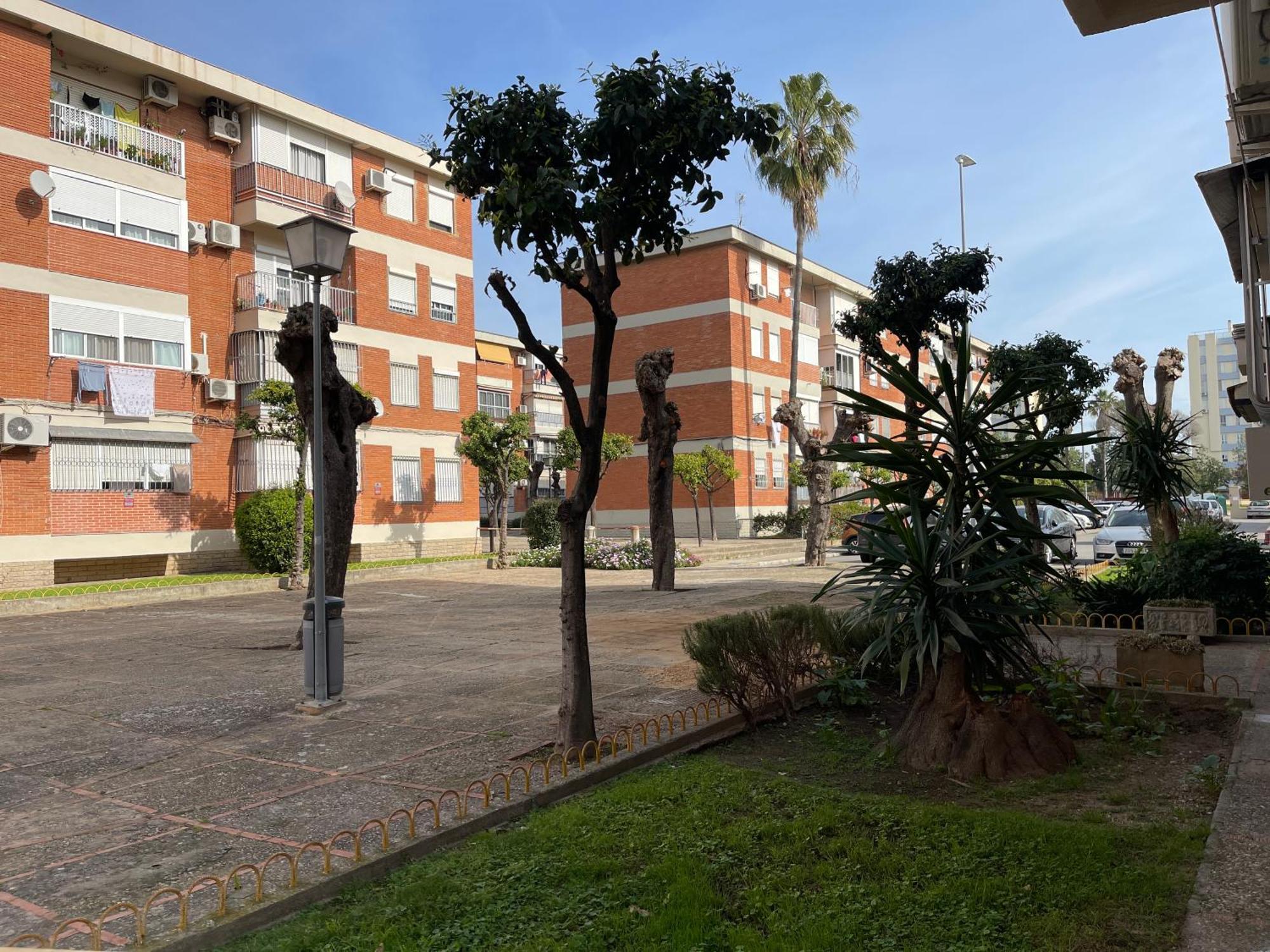 Centrico Y Soleado *