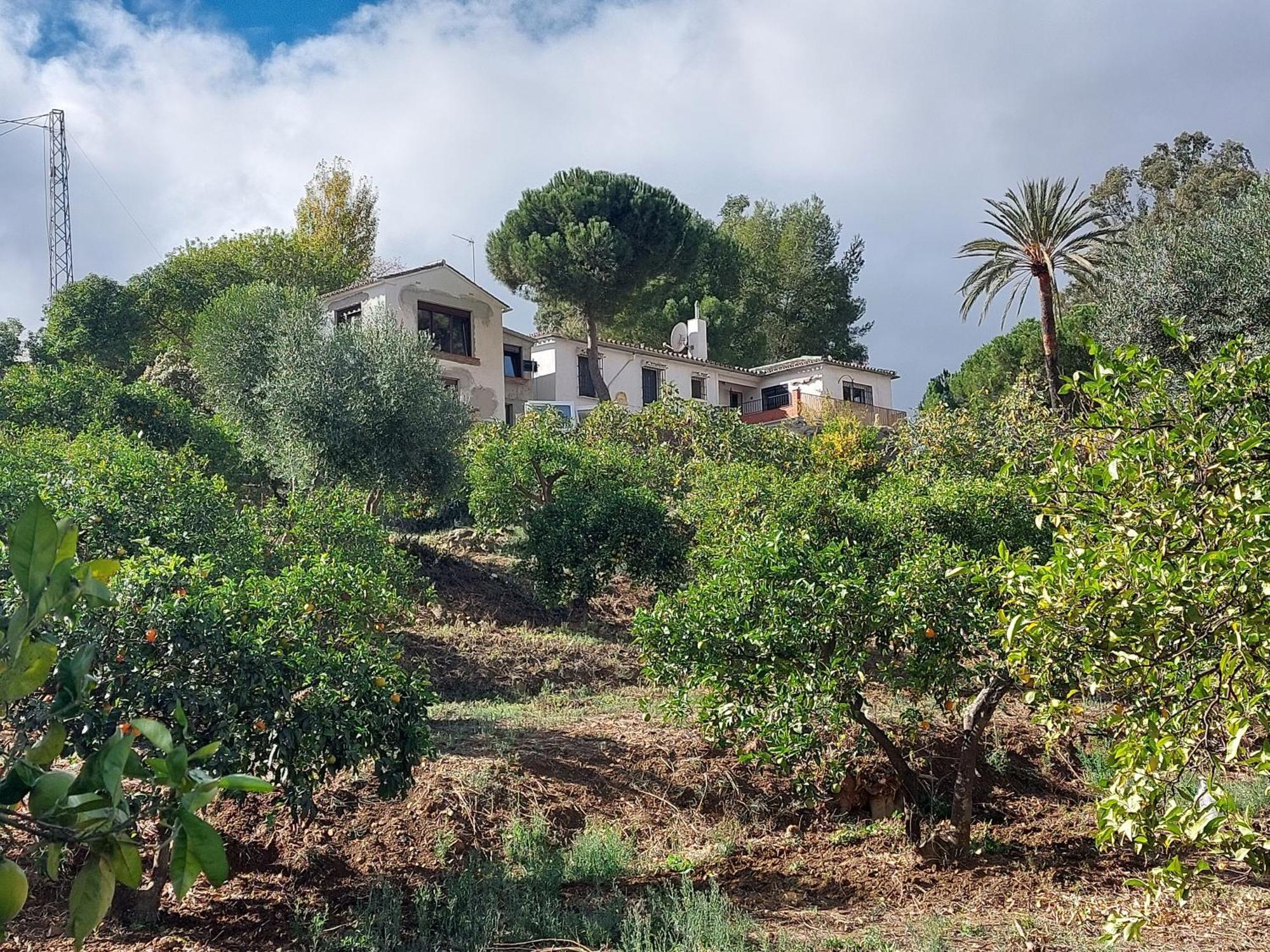 Bed and breakfast El Bufon De La Corte *