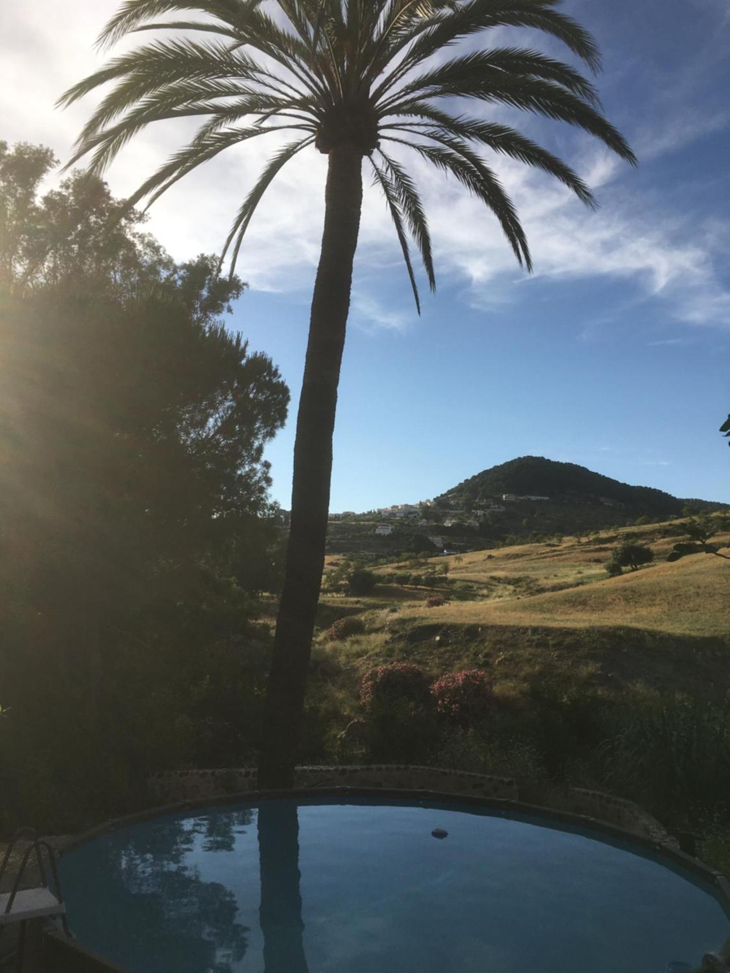 Bed and breakfast El Bufon De La Corte *