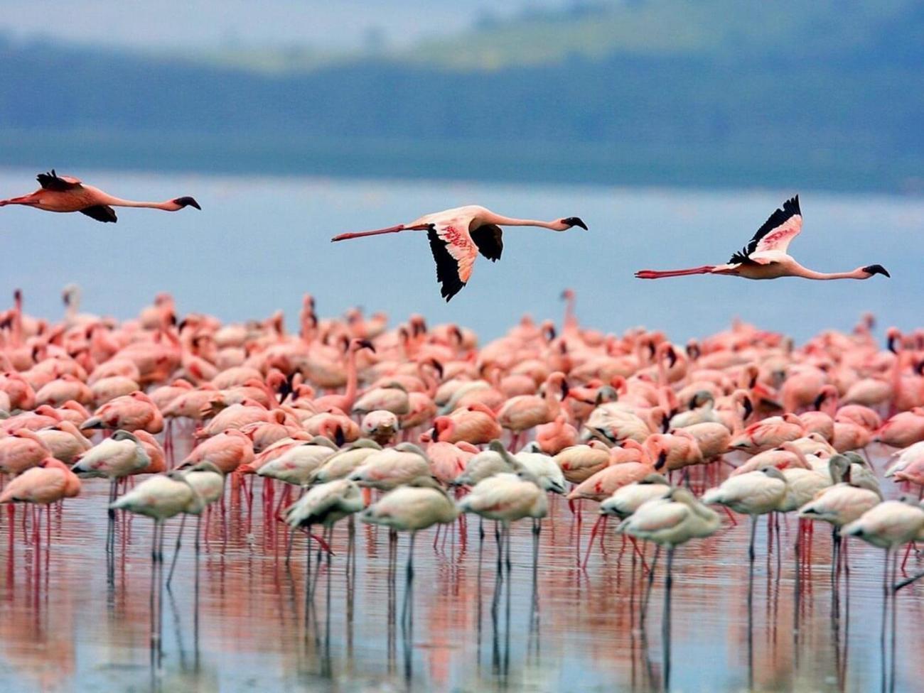Casa Natura Carabassi *