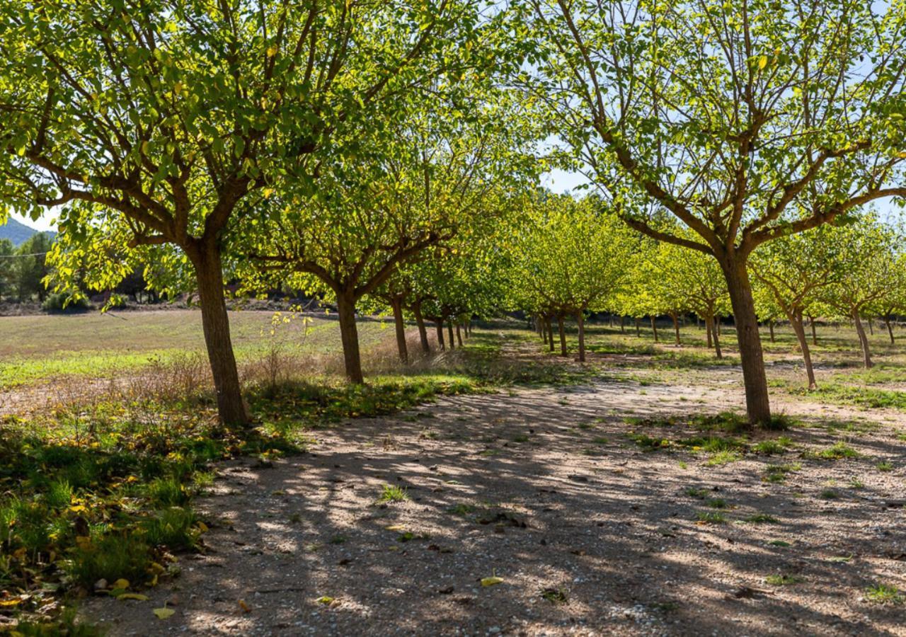 Bed & Breakfast Masia Aubareda