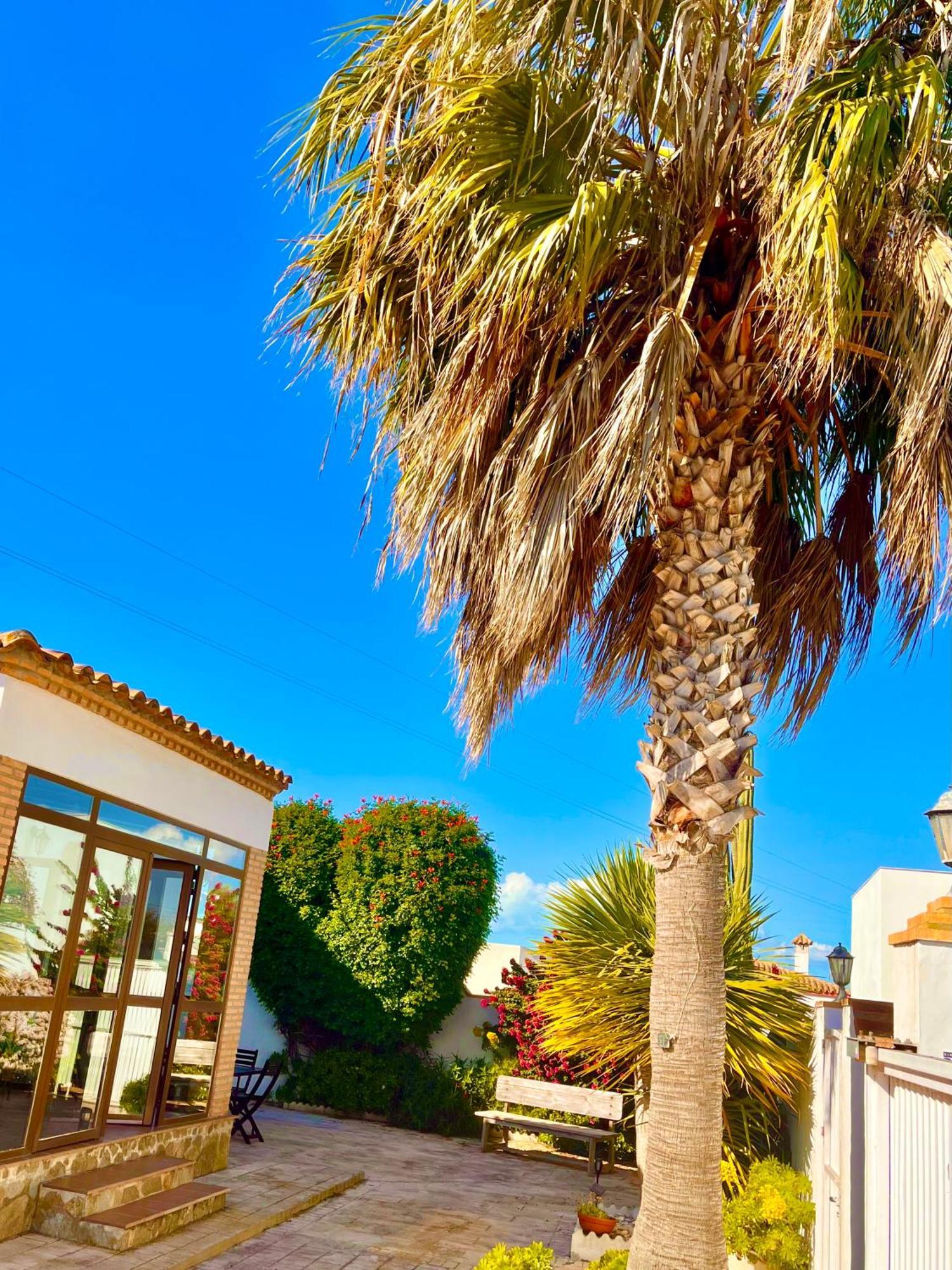 Duna Chalet *