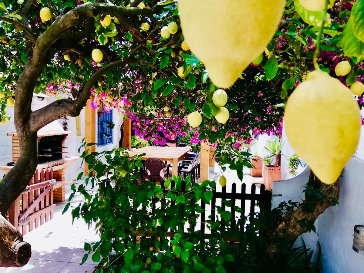 Сasa de vacaciones Craig, Spacious With Amazing Garden And Private Heated Pool *