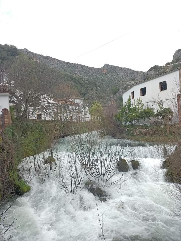 Casas De 15 Holiday home Benaojan