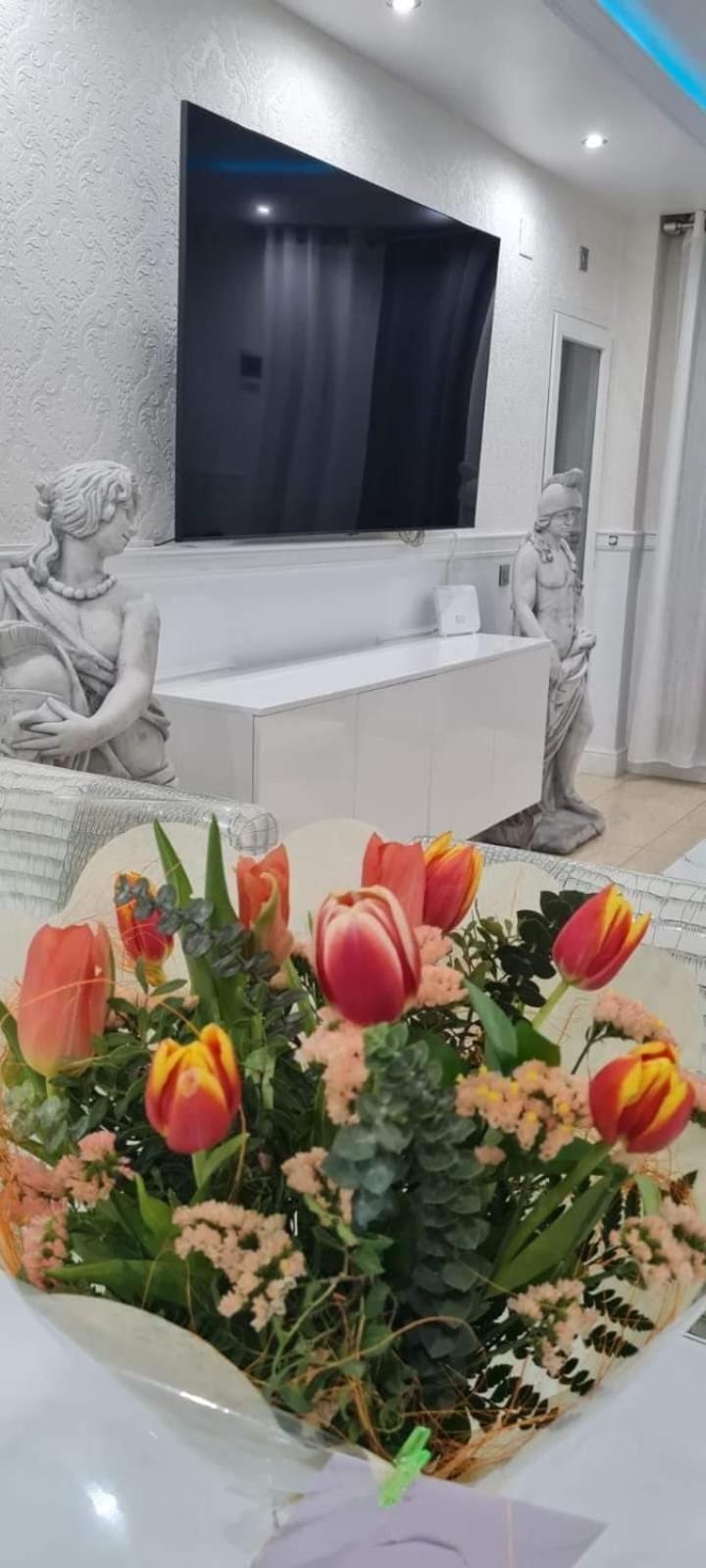 Oceanum Visum Deluxe Aparthotel