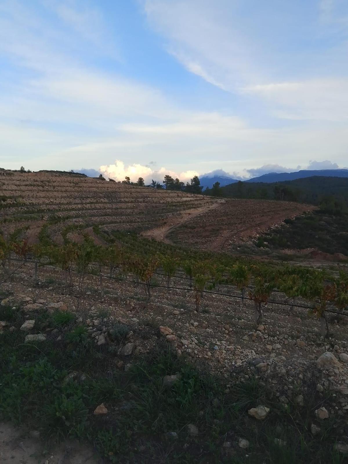 Apartamento Camins Del Priorat Ermita Sant Pau