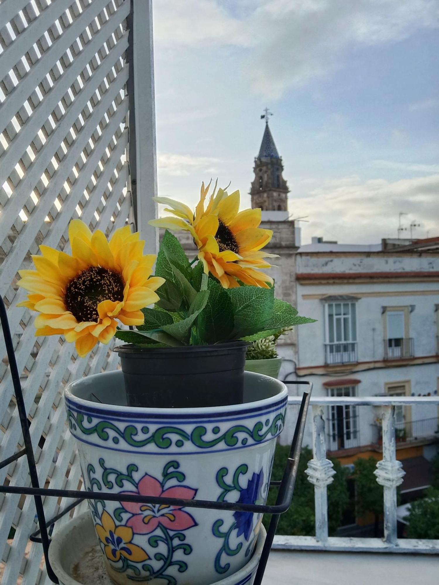 Atico Estudio Plaza Del Arenal - Terraza Con Vistas Apartment *