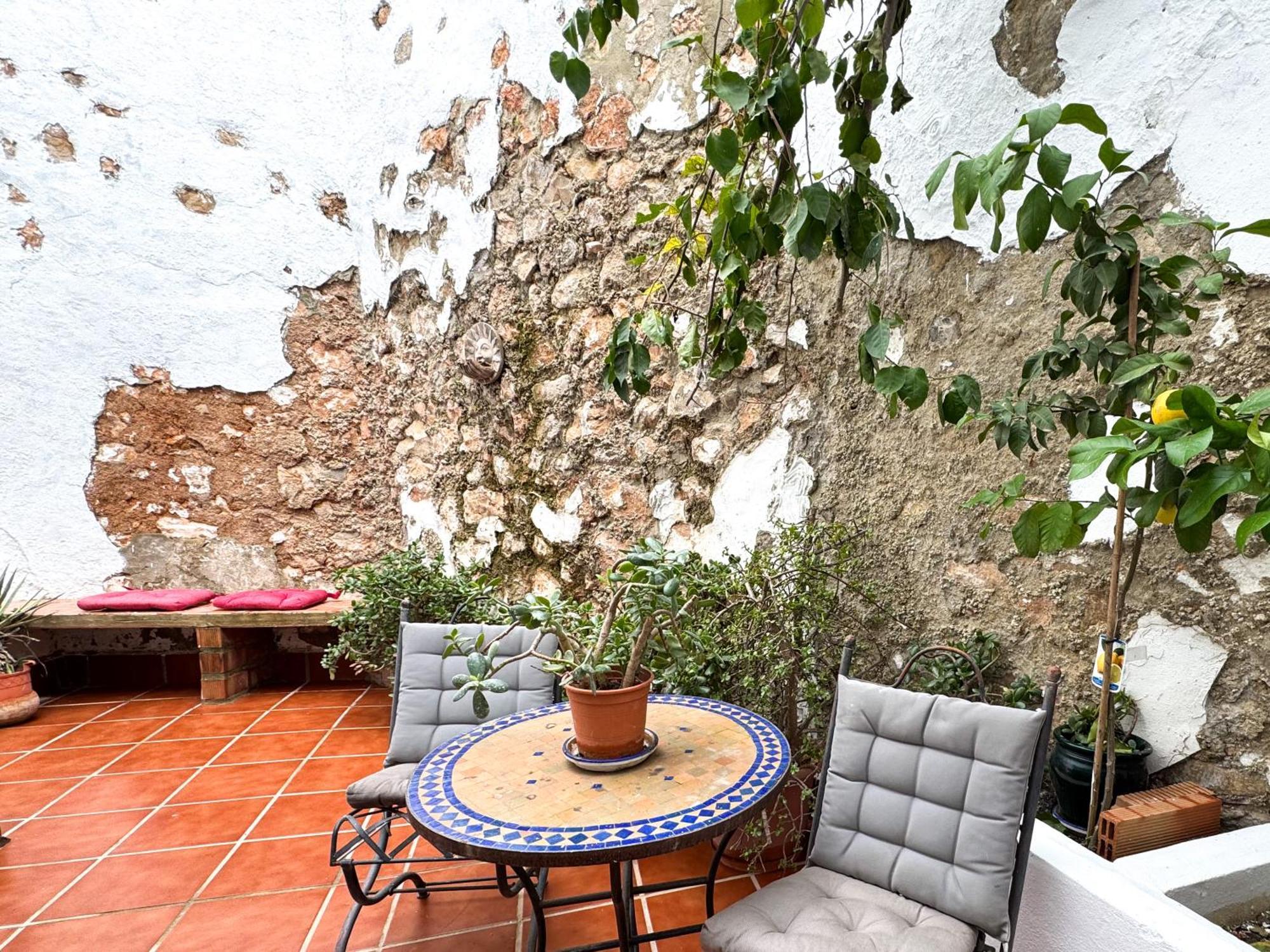 Lemon Tree Patio