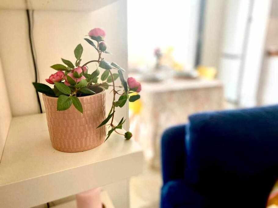Antonio By Solymar Apartamento *