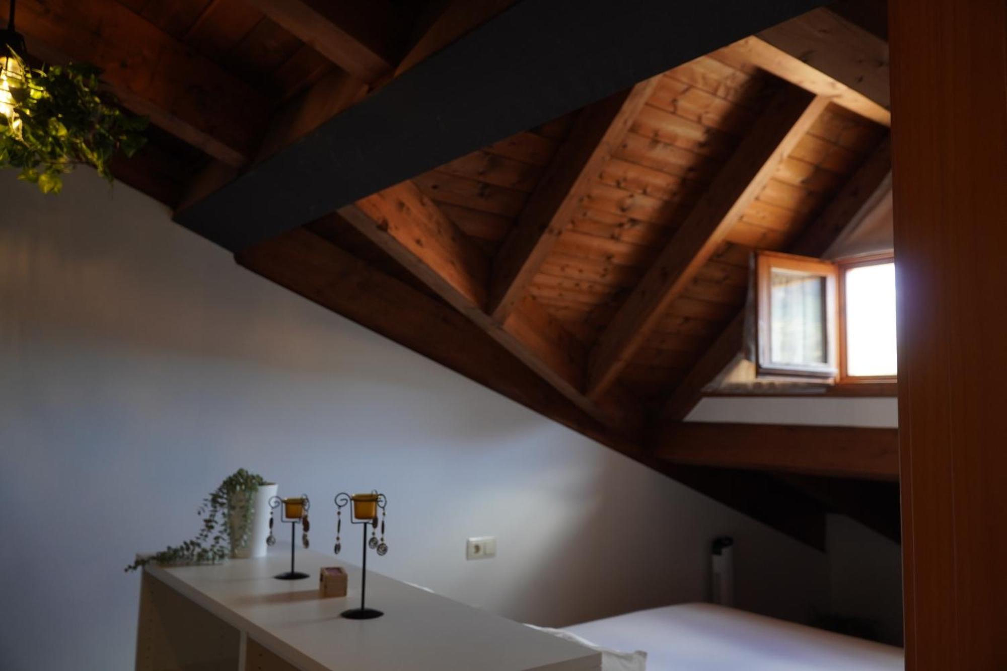 Apartamento Cal Harrys - La Mejor Casa De Vacaciones En Pyrenees Con Vistas A La Montana *