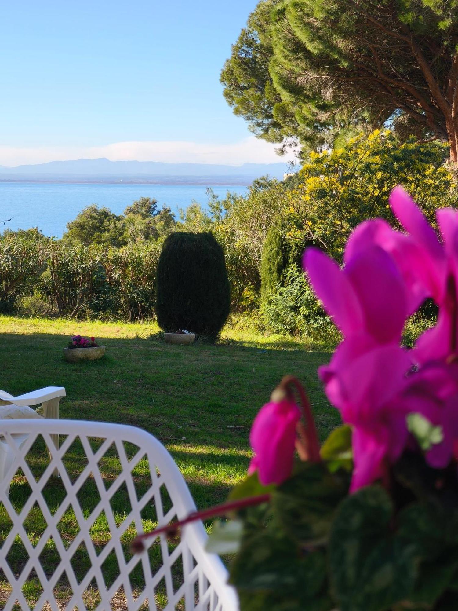 Apartamento Loft Garden Sea Rosas