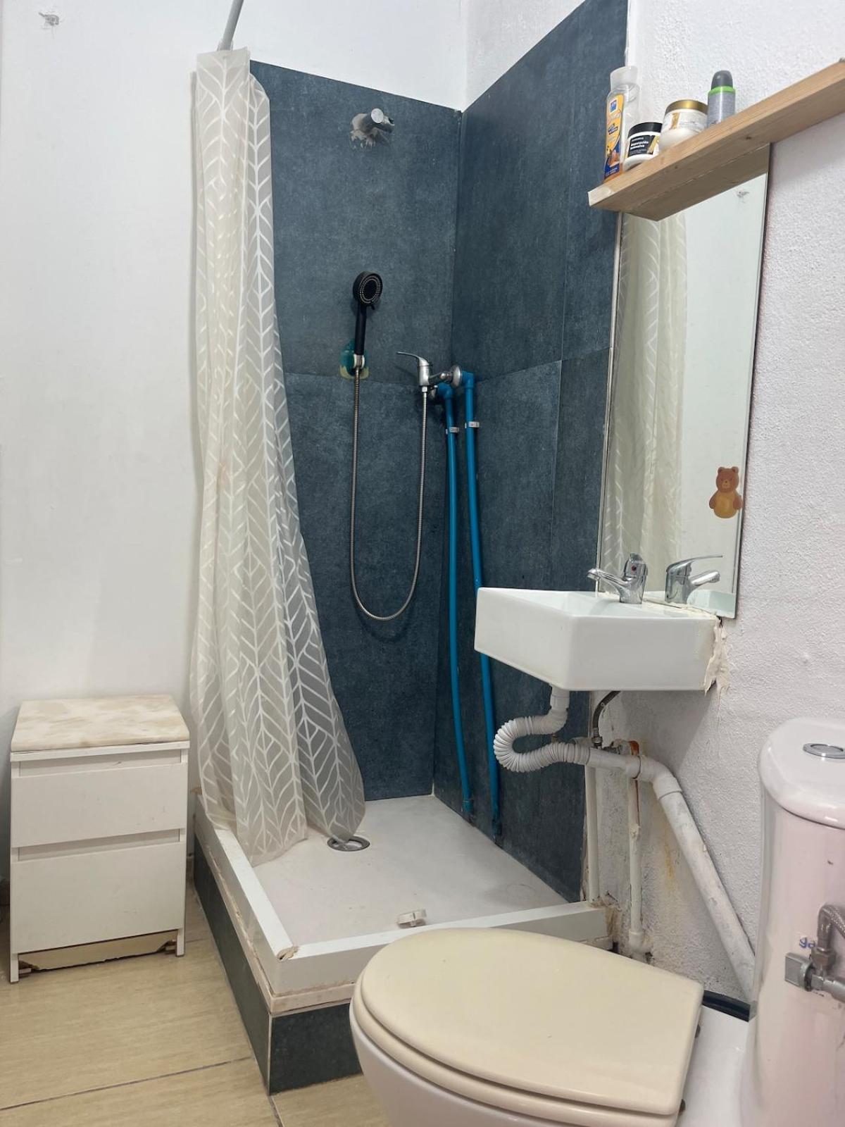 With Bathroom And Kitchen