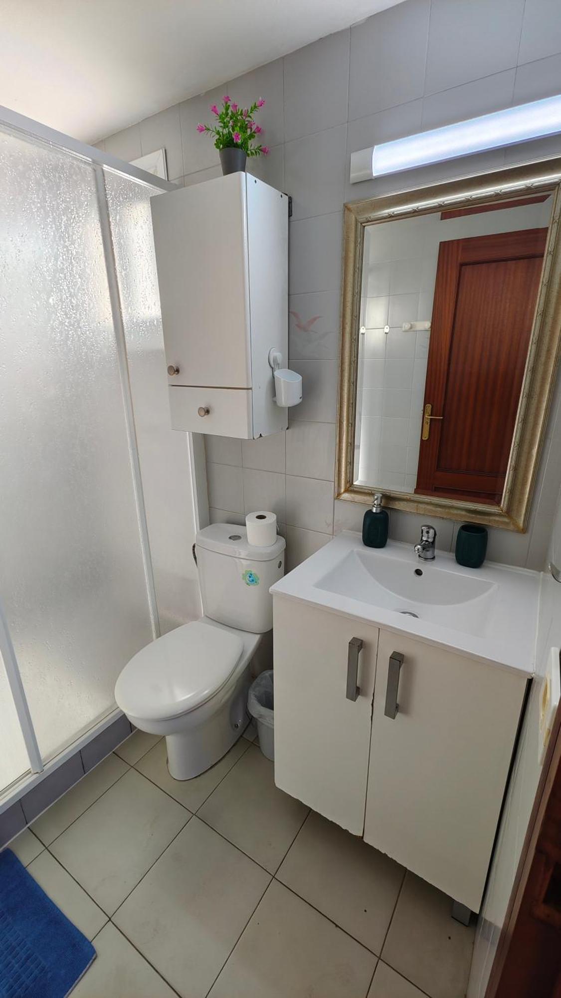 Apartment Palmeras Del Sur Costa Adeje (Tenerife)
