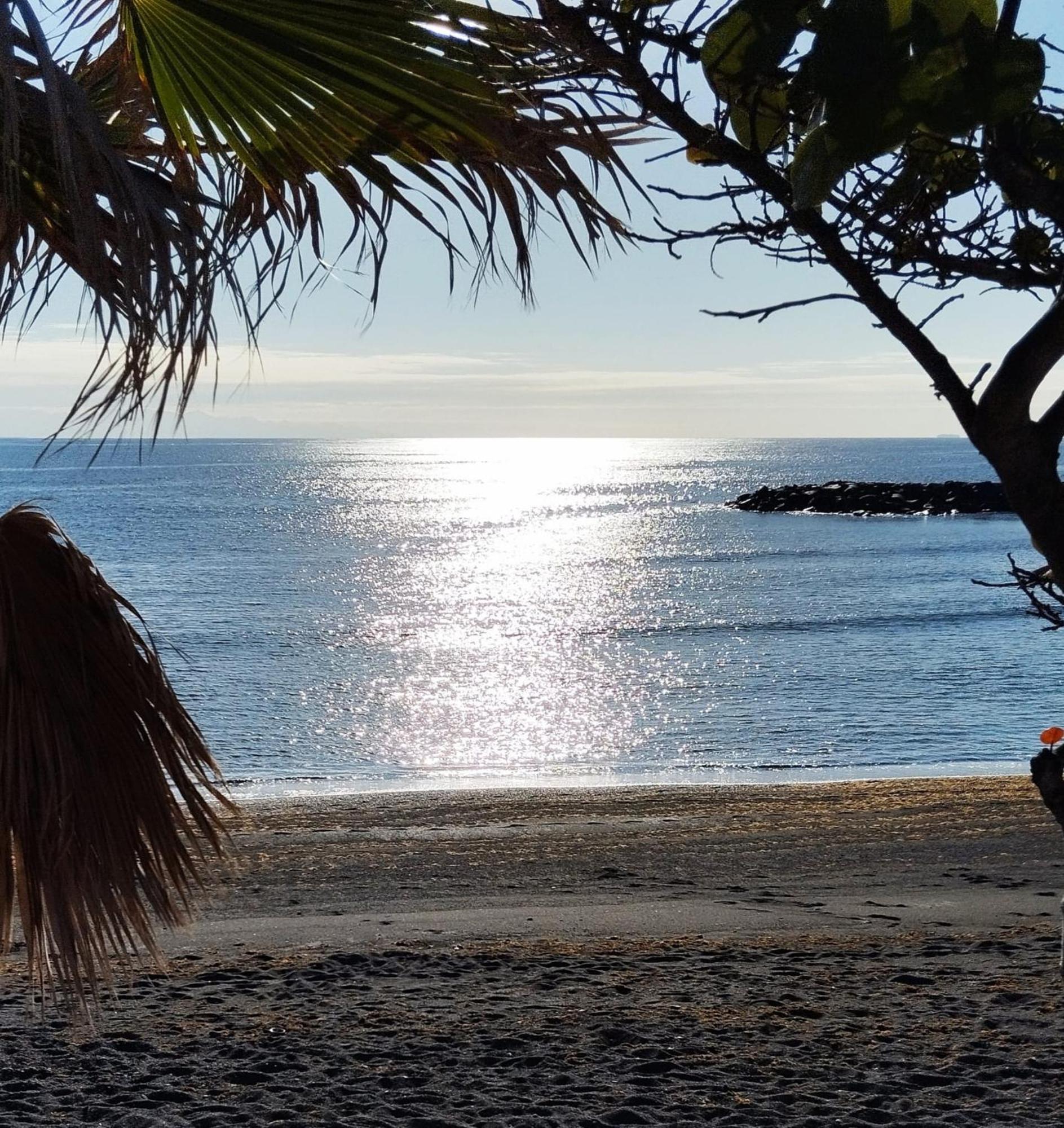 Coastal Haven * Puertito de Guimar
