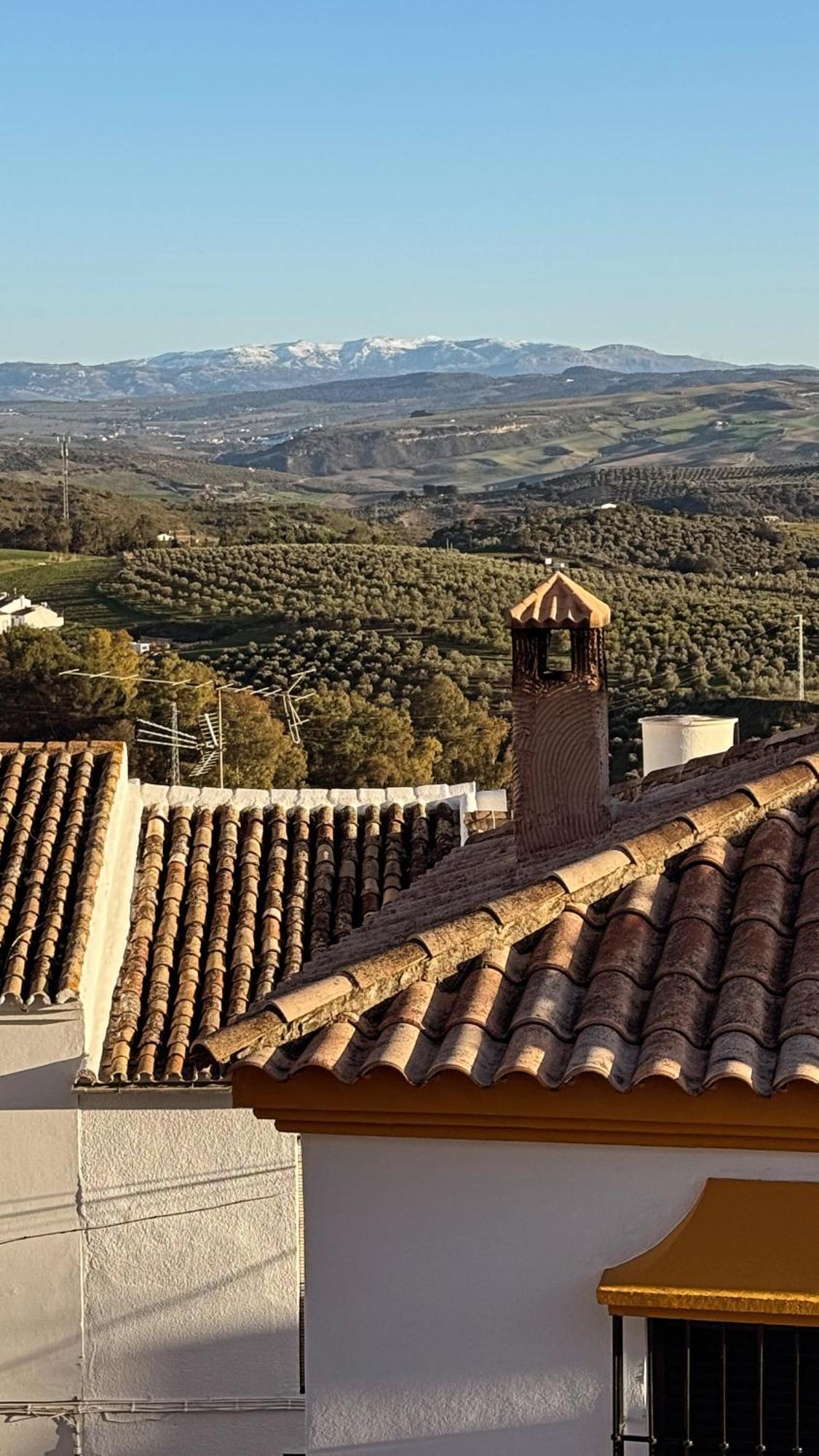 Lemon Tree Patio Holiday home Olvera