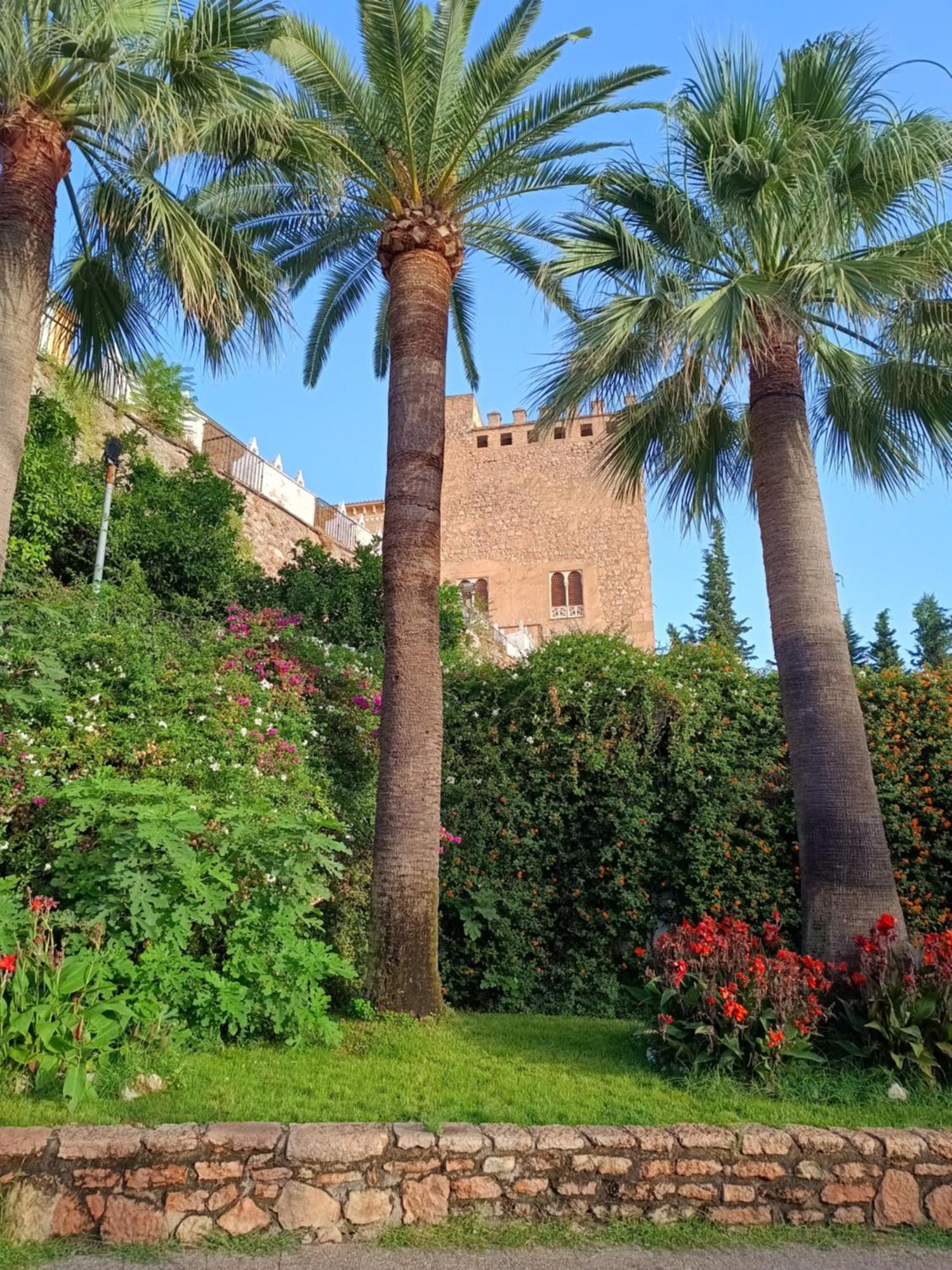 25 Apartamento Cabra