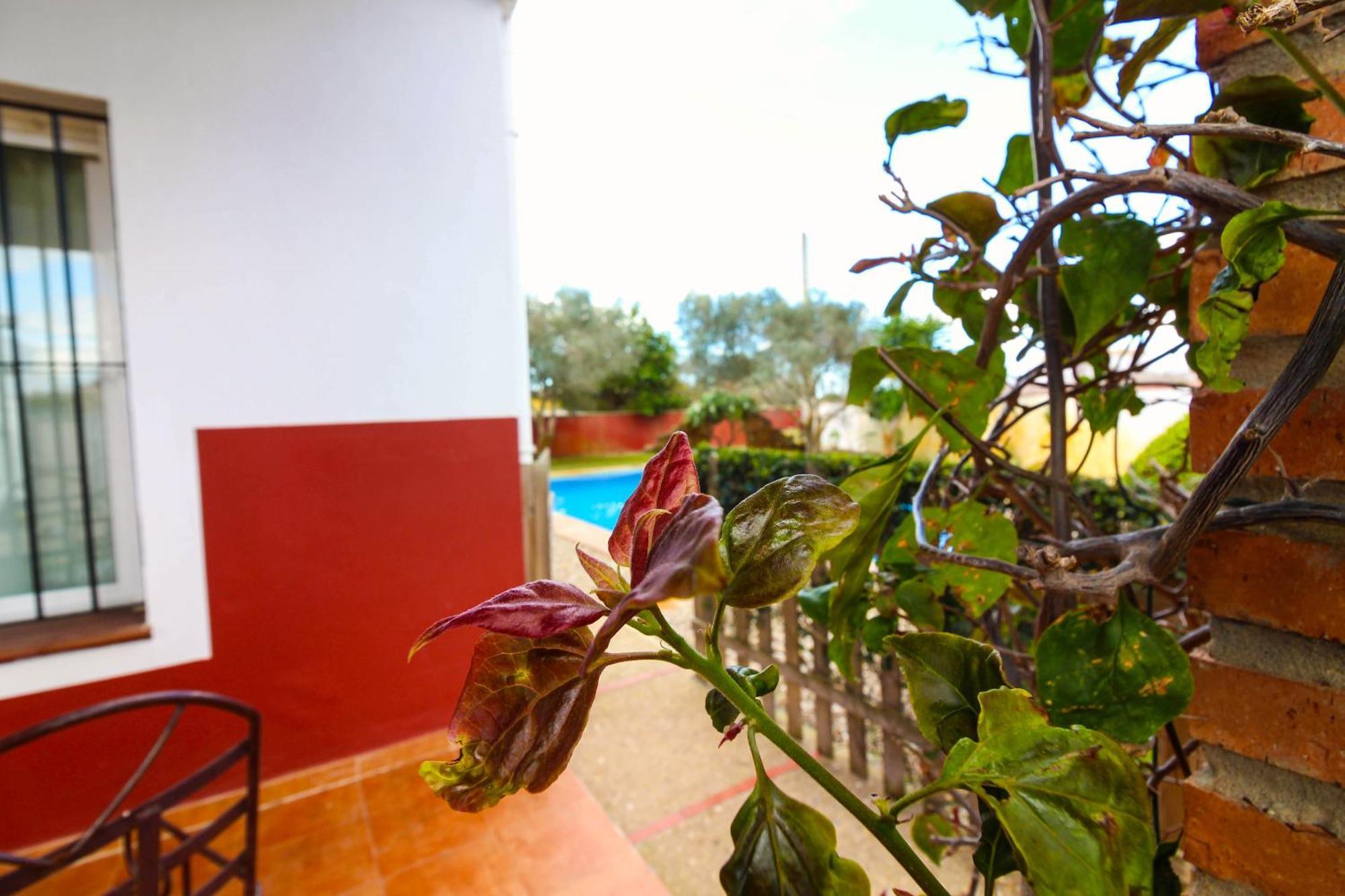 Candiles Holiday home *