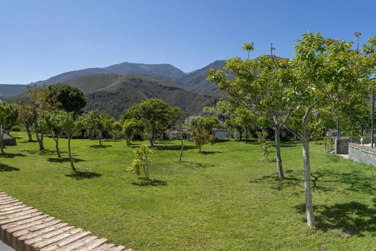 Taray Botanico